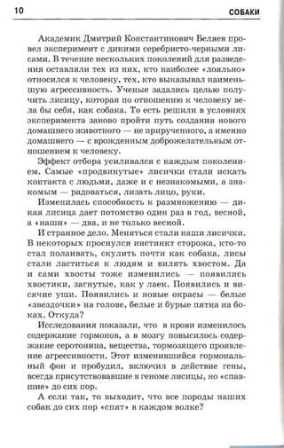 10                                                                    C06AK~



         AKMeMHK ,Il;MHTpHll KOHCTaHTHHOBWI BeJUleB npo­
     BeJI axcnepaxrea'r C .n;HKHMH Cepe6pHCTO-qepHbIMH JIH­
     CaMH.    B   renenae HeCKOJIbKHX rrOKOJIeHHll .n;JI5I paasezre­
     HH5I OCTaBJI5IJIH TeX H3 HHX, KTO HaH60JIee «JI05IJIbHO »
     OTHOCHJIC5I K qeJIOBeKy, TeX, KTO BbIKa3bIBaJI HaHMeHb­
     II1yID arpeCCHBHOCTb. YqeHble 3a.n;aJIHCb ue.nsro rro.ny­
     qHTb JIHCHll,y, KOTOpa5I rro OTHOII1eHHID K qeJIOBeKy Be­
     JIa 6bI ce65I, KaK cofiaxa. To ecrt, peII1HJIH B YCJIOBH5IX
     sxcnepasrea-ra 3aHOBO npoirra rryrr, C03.n;aHH5I nonoro
     .n;OMaII1HerO mHBOTHoro -            He rrpHpyqeHHOrO, a HMeHHO
     .n;OMaII1HerO -      C Bpom.n;eHHbIM .n;06pOJKeJIaTeJIbHbIM OT­
     HOII1eHHeM K qeJIOBeKy.
         SepepeKT orfiopa yCHJIHBaJIC5I C KaJK.n;bIM rrOKOJIeHH­
     eM.     Caxrsre    «rrpo.n;BHHyTble » JIHCHqKH CTaJIH HCKaTh
     KOHTaKTa C JIID.n;hMH, ztaxce H C He3HaKOMhIMH, a 3Ha­
     KOMbIM -       PMOBaTbC5I, JIH3aTb JIHll,O, pyKH.
         II3MeHHJIaCb cnocofinoc-n, K pa3MHomeHHID -                   .n;H­
     Ka5I JIHCHll,a ztaer rrOTOMCTBO O.n;HH paa B rozt, BeCHOll,
     a «HaII1H') -       zma , H He TOJIhKO necnoii.
         I I crpamroe zreno. MeH5IThC5I CTaJIH HaII1H JIHCHqKH.
     B   HeKOTophIX npocny.nca HHCTHHKT CTOpOJKa, KTO-TO
     CTaJI rrOJIaHBaTb, CKyJIHTh no-rm KaK cotiarca, JIHChI
     CTaJIH JIaCTHThC5I K        JIID.n;5IM H   BHJI5ITh XBOCTOM. ,Il;a
     H   caxm      XBOCThI    Tome     H3MeHHJIHCb      -   rr05IBHJIHCh
     XBOCTHKH,         aar-ayrsre,   KaK y JIaeK. IlO5IBHJIHCh H BH­
     C5IqHe YII1H. IlO5IBHJIHCh H           nonsre OKpaCbI -        6eJIble
     « 3Be3.n;OqKH » na rOJIOBe, 6eJIhle H       fiypsre rr5ITHa    aa 60­
     rcaxv Ortcyna?
         IIccJIe.n;oBaHH5I rrOKa3aJIH, qTO B KpOBH H3MeHHJIOCh
     conepacaane ropMOHOB, a B M03ry rrOBhICHJIOCb coztep­
     JKaHHe cepOTOHHHa, semecraa, TOpM035Iru;ero rrp05IBJIe­
     HHe arpeCCHBHOCTH. STOT H3MeHHBII1HllC5I rOpMOHaJIb­
     HhIll rpoa H       npofiyzra,n,     BKJIIDqHJI B .n;ellcTBHe   rensr,
     scerna rrpHcyTcTBOBaBII1He B renosre JIHCHll,bI, HO            «crras­
     II1He» no CHX rrop.
         A   eCJIH TaK, TO BbIXO.n;HT, qTO ace         rropozrsr   HaII1HX
     c06aK no CHX rrop        «crra-r»   B Kam.n;oM BOJIKe?
 