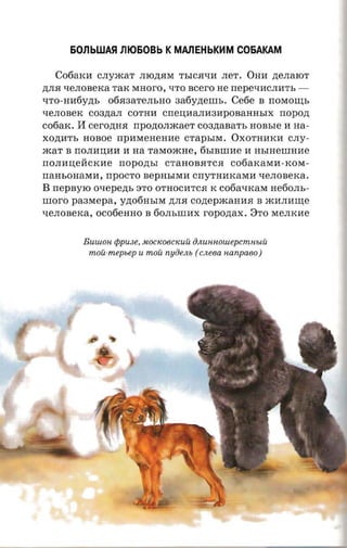 50nbWASI Jl1050Bb KMAJ1EHbKHM C05AKAM

   Co6aKH CJIyJKaT JIlO,lVIM TbICfl"tlH JIeT. OHH nezrarcr
,ll;JIfl"tleJIOBeKa TaK MHOrO, "tlTO scero He rrepe-racna-n, ­
"tlTO-HH6Y,ll;b   06fl3aTeJIbHO 3a6Y,ll;eIIIb. Ce6e B rrOMOIIJ;b
"tleJIOBeK C03,ll;aJI COTHH CrreIJ;HaJIH3HpOBaHHbIX rropozt
cofiax.   II cerorma    npoztonacaer coaztaaar's HOBbIe H na­
XO,ll;HTb HOBoe npmeeneane CTapbIM . OXOTHHKH CJIy­
JKaT B IIOJIHIJ;HH H na TaMOJKHe, 6bIBIIIHe H HbIHeIIIHHe
rroJIHIJ;eAcKHe rrOpO,ll;bI CTaHOBflTCfl co6aKaMH-KOM­
nansonaxa, rrpOCTO BepHbIMH crryTHHKaMH xenonexa .
B rrepsyro o-repezrs STO OTHOCHTCfl K C06a"tlKaM He6oJIb­
moro paaxepa, y,ll;06HbIM ,ll;JIfl conepacaaaa B JKHJIHIIJ;e
xe.nonexa, ocorienao B 60JIbIIIHX ropozrax. ::lTO MeJIKHe


           BUUlOH   tppuse, uocxoecxuu OJlUHHOUlepcmHbtU
            moii-mep sep U moii   nyoeJlb   (c neea nanpaeo)
 