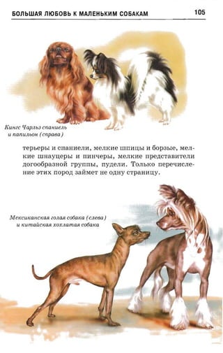 6011bWASl 111060Bb K MAl1EHbKHM C06AKAM                               105




KUH ZC  q ap.nse cnanuenu
 U   nanuiuon. ( cnpaea )

         repsepsr IT CrraHIIeJIIT, MeJIKITe nrrrmrsr IT fiopat.re, MeJI­
         KITe nnrayuepsr IT rraavepsr, MeJIKITe rrpe,n;CTaBITTeJIIT
         ztorootipaaaori    rpyrrm,r,    rryzterra. TOJIbKO nepe-nrcne­
         HITe STIIX rropozr 3allMeT He O,n;HY CTpaHITU;Y.




 M eKCUlfa HCKaR zon asi cooaxa ( cn eea )
      U KUm a UCKaR xoxnamasi cotiaica
 
