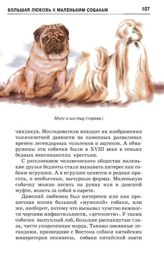 60nbWASI nlO60Bb K MAnEHbKHM C06AKAM                                             107




                        Mane    U   tuu-muu (c npaea )


  t.Illxyaxya. HCCJIe,n;oBaTeJIll naxoztar nx nsofipaacen aa
                  ztaanoc'ra na KaMeHHhIX paaaammax
  ThICHt.IeJIeTHe:H:
  nperaen .nerenztapar.rx TOJIhTeKOB II aU;TeKOB . A ofina­
  pyxcensr 3Tll cofia-nca 6hIJIll B XVIII serce B cexn.ax
  6e,n;HhIx MeKCllKaHCKllX KpeCThHH .
     C   paCCJIOeHlleM LIeJIOBet.IeCKOrO     otimecrna MaJIeHh­
  rene P;PY 3 h H 6e,n;HoThI CTaJIll BhI3hIBaTh mrrepec KaK co­
  fiarcn-rrr'pynncn. A B nr-pynnce nemrrca II pezncaa xpa­
  COTa, II Heo6hIt.IHhIe, BhILIypHhIe Q;>OPMhI. MaJIeHhKYIO
  C06at.IKy MOjRHO HOCllTh              na pyxax         llJIll B p;aMCKO:H:
  MYQ;>Te, B03llTh     aa   co6o:H: B   rcapare.
     ,l];aMCKll:H: JII06llMeu; 6hIJI n arepecen llJIll K aK KpO­
  IIIet.IHaH xonna 60JIhIIIO:H:          « MYjRCKO:H: »     cofiaxn ,   llJIll
  jRe, naotiopor , norosry LITO BhI3hIBaJI t.IyB CTBO HejRHOC­
  Tll -repraraa anrpam-am.aocrn, «,n;eTCKOCTll ».                 Y   rarcnx
  co6at.IeK BhIrr YKJIhI:H: JIo6, 60JIhilille      pacnaxnyr-sre        r JIa­
  3a, t.IaCTO y x o p o x e a n a a Mop,n;a. TaKOBhI OBeHHHhIe JIe­
  raH,n;aMll, npaureznnne C BOCTOKa cofiaxn KllTa:H:CKllX
  llMrrepaTopOB        nexaaecsr,        cotiarcn KllTa:H:CKO:H: aaa'rn
 