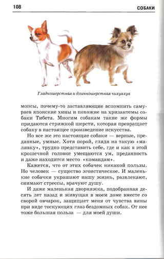 108                                                             C06AKH




            r naincoiuepcmiuui u aJlunnowepcmn(l.fl 'luxyaxya

  MorrChI, nonexry-ro 3aCTaBJIHIOrn;lfe BcrrOMHIfTb cavry ­
  paen HIIOHCKlfe XIfHbI If noxoacne na xplf3aHTeMbI CO­
  6aKIf T1f6eTa. Maorara C06aKaM rarcae me ¢OPMbI
  npnnarorca CTplfmKOll nrepcra, KOTopaH npenpanraer
  cofiaxy   B   nacroanree npoaaaezteane ncxyccraa .
      Ho nee me STO nacroaunre cooaxa - sepnsre, rrpe ­
  ztaanr.re, YMHbIe. XOTH nopori, rJIH,n;H aa TaKylO «Ma­
  JIHBKy», rpyzmo npenc-rana-n, ce6e, r,n;e If KaK B STOll
  rcpornexnofi rOJIOBKe YMern;aIOTCH yM, rrpeztannoc'rs
  If zraace naxozrarca MeCTO «KOMaH,n;aM ».
      KameTCH, 'ITO OT STIfX C06aqeK HIfKaKoll rrOJIb3bI.
  Ho 'IeJIOBeK - cymecrno srOIfCTIf'IeCKoe. 11 MaJIeHb­
  rene C06a'IKIf yxpamaror naury mlf3Hb, pa3BJIeKa1OT,
  CHIfMalOT crpeccst, npa-ryror zrynry .
      11 naace MaJIeHbKaH zrsopnaacxa, rroztofipannaa ne ­
  CHTb JIeT naaazt If mlmyrn;aH B MoeM ,n;oMe BMeCTe CO
  CBOpOll OB'IapOK, aanmuraer MeHH OT 'IyBcTBa BIfHbI
  npa an zre TOCKYIOrn;IfX rJIa3 6e3,n;oMHbIX cotiax . OT Hee
  Tome 60JIbIIlaH norn.aa - ,n;JIH Moell zryura .
 