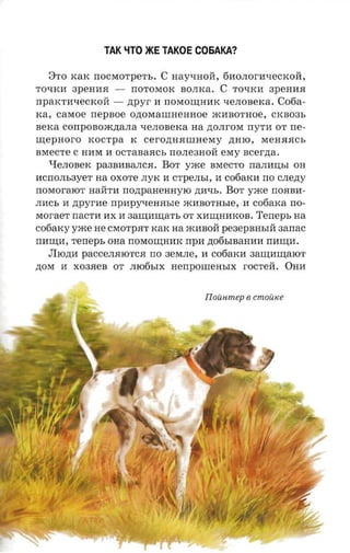 TAK LiTO)f(E TAKOE C06AKA?

   8TO KaK nocraorperu. C Hayl.J:HOM, 61I0JIOrlll.J:eCKOM,
        apeuaa - rrOTOMOK BOJIKa. C TOl.J:Kll 3peHIIH
TOl.J:Kll
rrparcra-recxori - ztpyr II noraonrnax l.J:eJIOBeKa. C06a­
rca, careoe nepsoe onosraumennoe mllBoTHoe, CKB03b
sexa corrposoacnana l.J:eJIOBeKa na ,n;OJIrOM rryrn OT ne­
nrepnoro xocrpa K cero,n:HHIIIHeMy ,n:HIO, MeHHHCb
BMeCTe C HllM II OCTaBaHCb rrOJIe3HOM eMy scerna.
   qeJIOBeK pa3BllBaJICH. BOT yme BMeCTO rraJIlIII;bI OH
IICnOJIb3yeT   aa   OXOTe JIyK II CTpeJIbI, 11 c06aKI1 no   c.nezry
noraoraror HaMTI1 nozrpaneanyro ,n:11l.J:b. BOT yxce nOHBII­
JII1Cb 11 zrpvrne npapyxeansre mI1BOTHbIe, II cofiaxa rro­
MoraeT naCTI1 I1X 11 aammnarr, OT XI1:ru;HI1KOB. Terreps na
cofiarcyyxce He CMOTpHT KaK na ml1BOM peaepsnsm aarrac
nnunr, reneps OHa rrOMo:ru;HIIK npn ,n:06bIBaHI1I1 rnmra.
    JIlO,n:1I paCCeJIHIOTCH no 3eMJIe, 11 c06aKII aanramaror
,n:OM 11 X03HeB OT JII06bIX nenpomensrx rOCTeM. OHI1



                                         Ilouumep 6 cmoiuce




               ."
 