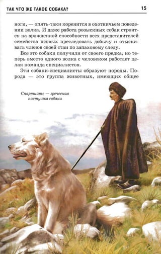 TAK 'iTO >KE TAKOE C06AKA?                                      15


   nor-a, - OrrJITh-TaKH KopeHHTCJI B OXOTHHQbeM rronezie­
   HHH BOJIKa. 11 ztaxce paoora P03hICKHhIX cofiax CTpOHT­
   CJI na apoxcztennoa crroco6HOCTH scex npezrcraaareneii
   cexrencraa rrCOBhIX npecnezroaa'n, ,n;06bF-ry H OThICKH­
   BaTh 'IJIeHOB caoeii CTaH rro aanaxosoxry cnezry.
       Bee STO cofiaxn rrOJIyQHJIH OT csoero rrpeznca, HO Te­
   neps BMeCTO ozraoro BOJIKa C QeJIOBeKOM paooraer ne­
   JIaJI KOMaH,n;a crre:O;HaJIHCTOB.
       3TH co6aKH-crre:O;HaJIHCTbI 06pa3YIOT rropozrsr. IIo­
   pozra -    STO rpyrrrra mHBOTHhIX, HMeIOru;Hx o6ru;ee



      Cnapmuame -   ?pe'leCK(LJl
         nacmuuusi cooaxa
 