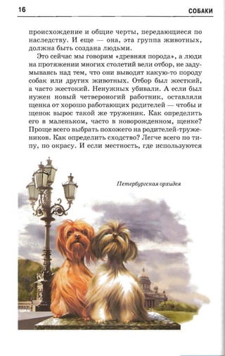 16                                                                   COEiAK~



     npoacxoxcneaae 1I ofiurae lIepThI, rrepenaroruaeca no
     HaCJIe,n;cTBy.   II erne -    OHa, STa     rpynrra    mliBOTHbIX,
     ,n;OJImHa 6bITb C03,n;aHa JIlO,n;bMlI.
        8TO celllIac MbI   ronopaxr         rropozta», a JIlO,n;lI
                                        «,n;peBHRR
     na nporaxceaaa MHorliX CTOJIeTlill ne.na OT60p , He aany­
     MbIBaRCb Ha,D; TeM, liTO     onn   BbIBO,n;RT KaKyIO -To    nopozry
     c06aK lIJIlI ,n;pyrlIx m lIBOTH bIX . OT60p 6bIJI meCTKlIll,
     a LIaCTO »cecrororri. Henyxcm.rx y61IBaJIli. A eCJIlI 6bIJI
     nyxcea           xerucponor-nii pa60THlIK, OCTaBJIRJIlI
                HOBbIll
     w;eHKa OT XOpOIIIO pafioraronmx po,n;lITeJIell - LIT06bI 1I
     w;eHOK BbIPOC TaKOll me rpyacenmc. KaK onpenemrn,
     ero B MaJIeHbKOM, lIaCTO B HOBopom,n;eHHOM, memce?
     Ilponie scero BbI6paTh noxoacero na po,n;lITeJIell-Tpyme­
     HlIKOB. KaK onpenenart, CXO,n;CTBO? JIerLIe scero no TlI­
     ny, no orcpacy. II eCJIlI MeCTHOCTb, rne lICnOJIh3YlOTCH




                                        IIemeptiupectcast opxuiien
 