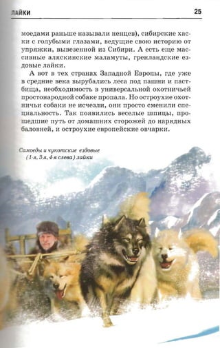 H K~                                                           25


 .w e,n;aMH paasure Ha3bIBaJIH HeHI.I;eB), cH6HpCKHe xac­
KH C rOJIy6bIMH rJIa3aMH, sezryurae CBOIO HCTOpHIO OT
  rrp a xoc n , BbIBe3eHHOM H3 CH6HpH. A ecrs erne Mac­
CHBHbl e aJIHCKHHCKHe MaJIaMyTbI, rpeHJIaH,n;CKHe ea­
  onsre JIaMKH.
    A BOT B TeX CTpaHaX Bananaoii Enpom,r, rne yxee
B cpezraae sexa asipyfiannc» JIeCa rrozr nauraa H nacr­
6Hru;a , He06xo,n;HMOCTb B yHHBepCaJIbHOM OXOTHWlbeM
n p OCTOHap O,n;HOM C06aKe nporrana. Ho ocrpoyxne OXOT­
HIP-IbH c06aKH He HC"lle3JIH, OHH rrpOCTO CMeHHJIH crre­
D;HaJIbHOCTb . TaK rrOHB11JI11Cb secerrsre ummrsr, npo­
m en m n e ny'rr, OT ,n;OMaIllHHX cropoacea ,n;o HapH,n;HbIX
OaJIOBHeM, 11 ocrpoyxne eaponeactcne OB"llapK11.


  woein«   U   'lyKomcKue esiioeue
  ( l -si, 3-Jl, 4-Jl cneea ) naiucu




                                                •
 