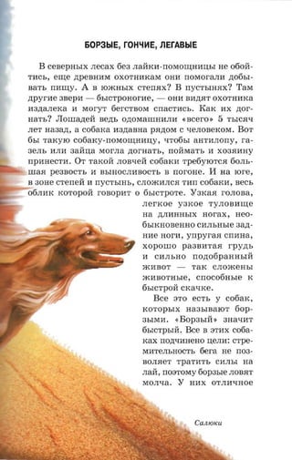 60P3b1E, rOHLil1E, llErABblE

   B   CeBepHhIX .necax 6e3 .lIaihnr - rrOMO~HIUIhI He 060H­
TIICh, erne ,n;peBHIIM OXOTHIIKaM OHII rrOMOraJIII ,n;06hI­
BaTh rrII~Y.    A     B IO.lKHhIX   crenax?     B rrYC'fhIHHX? TaM
)];pyrIIe 3BepII -     6hICTpOHorIIe, -       OHII BII)];RT OXOTHIIKa
II3)];aJIeKa II MoryT 6ercTBoM            cnacracs. KaK IIX ztor­
nart.?   JIoWa,ZJ;eH sezn. o.n;OMaWHII.lIII     «ncero. 5 ThICRq
.ner Ha3a,ZJ;, a cofiaica II3)];aBHa PR)];OM C qe.lIOBeKOM. BOT
6hI TaKylO cofiaxy - rrOMO~HIIIJ;y, qT06hI aHTII.lIOrry, ra­
3e.lIh II.lIII 3aHIIa MOr.lIa   norna'n-,      rroHMaTh II X03HIIHY
rrpIIHecTII. 0'1' TaKoH .lIOBqeH c06aKII rpefiyrorca 60.lIh­
maa pe3BOCTh II BhIHOC.lIIIBOCTh B              norone. :vI na       tore,
B 30He   crerren II   rrYCThIHh, C.lIO.IKII.lICH TIIrr c06aKII, aecs
0 6 .lI IIK KOTOpOH rOBopIIT 0 6hICTpOTe. "Y3KaH rO.lIOBa,
                                    .lIerKOe Y3Koe           TY.lIOBII~e

                                     na    )];.lIIIHHhIX   norax, neo­
                                     6hIKHOBeHHO CII.lIhHhIe 3a,ZJ;­
                                     HIIe HorII,      ynpyraa cnnna,
                                     XopOWO pa3BIITaH               r-pyzn,
                                     II   CII.lIhHO    rrO)];06paHH@H
                                     .lKIIBOT    -     TaK   C.lIO.IKeHhI
                                    .lKIIBOTHhIe,       cnocotiasre      K
                                     6hICTpOH cxasnce.
                                          Bce 8'1'0 eCTh y         c06aK,
                                     KOTOphIX         Ha3hIBalOT 60p­
                                     3hIMII.    «BOP3hIH»          3HaqIIT
                                     6hICTphIM.      Bee   B 8TIIX coria­
                                     xax rrO)];qIIHeHO IJ;e.lIII: crpe­
                                     MIITe.lIhHOCTh 6era He          nos­
                                     BO.lIReT TpaTIITh        CII.lIhI na
                                    .lIaR, rr08TOMY 60p3hIe .lIOBHT
                                     MO.lIqa.    "Y HIIX 0'1'.lIII"l{HOe




                                                       CaJllOlCU
 