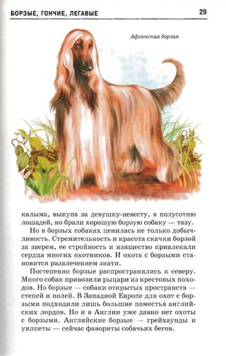 60P3b1E, rOH"IVlE, l1ErABblE                                         29


                                          Aipeancxasi tiopsas.




   KaJIbIMa, BbIKyrra aa ztenymxy-nenec'ry, B nonycormo
   .nomazteri, HO 6paJIH xoponryro fiopayro cofiarcy -       Ta3Y.
      Ho B 60p3bIX cotiaxax :o;eHHJIaCb He TOJIbKO ,n;06bI'I­
   JIHBOCTb. CTpeMHTeJIbHOCTb H KpaCOTa CKa'IKH 60p30rr
   aa anepevr, ee CTpOMHOCTb H H3H~eCTBO rrpHBJIeKaJIH
   cepzma MHOI'HX OXOTHHKOB.       II   OXOTa C 60P3bIMH CTa­
   HOBHTCH pa3BJIe'IeHHeM 3HaTH.
      Tlocrenenno    60p3bIe pacnpocrpaaanacs K cesepy.
   MHOI'O cotiax rrpHB03HJIH    psrnapn   H3 KpeCTOBbIX rroxo­
   ,n;OB. Ho 60p3bIe -    cooarcn OTKpbITbIX rrpOCTpaHCTB ­
   crerreii H rrOJIeM.   B Banannoit Espone     ,n;JIH OXOT C 6op­
   3bIMH nonxozm.na JIHllIb 60JIbllIHe rrOMeCTbH aHI'JIHM­
   CKHX JIOp,n;OB. Ho H B AHI'JIHH yxce ,n;aBHO HeT OXOTbI
   C 60p3bIMH. AHI'JIHMCKHe 60p3bIe -            rpeaxavnzrsr    H
   ynrme'rsr -   CeM'IaC   rpaaopm-sr   C06a'IbHX 6eI'OB.
 