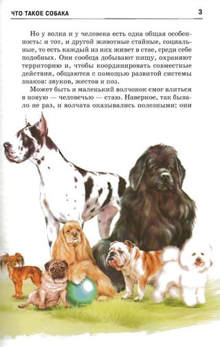 xro TAKOE C06AKA                                                   3


     Ho y BOJIKa 11 y qeJIOBeKa ecri, O,LHa 06r:o;aJI ocotiea­
  HOCTb: 11 TOT, II zrpyroi! mIlBOTHble crarimae, COIJ;HaJIb­
  nsre,    ecrs Kam,n;bIll H3 HHX mHBeT B crae, cpeznr ce6e
          TO
  IIo,n;06HbIX. OH11 coooma ,n;06bIBaIOT rranry, oxpaHHIOT
  Tepp11TOpHIO H, qT06bI KOOp,n;HHHpOBaTb COBMeCTHble
  ,n;ellCTB11JI, 06r:o;aIOTCH C IIOMOr:o;bIO pa3B11TOll CHCTeMbI
  3HaKOB: 3ByKOB, meCTOB H II03 .
     Moacer 6bITb     H MaJIeHbKHll BOJIqOHOK    craor BJIHTbCH
  B HOByIO -      qeJIOBeqbIO -   CTaIO.   Hasepaoe, TaK 6bIBa­
  JIO He   paa,   H BOJIqaTa OKa3bIBaJIHCb IIOJIe3HbIMH: OHH




                                                                   ,
 