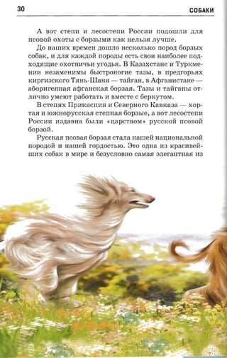 30                                                                 C06AK~



        A   BOT CTeIIH H     JIeCOCTeIIH POCCHH IIO,D;OIIIJIH ,D;JIJI
     IICOBOH OXOTbI C 60P3bIMH KaK HeJIb3JI JIy"tJIIIe.
        ,IJ;o HaIIIHX speraen ,D;OIIIJIO HeCKOJIbKO IIOpO,D; 60P3bIX
     cofiarc, H ,D;JIJI Ka)K,D;OH IIOpO,D;bI ecrs CBOH HaM60JIee IIO,D;­
     XO,D;JIIIJ;He OXOTHH"tJbH yrO,D;bJI.   B   Ka3aXCTaHe H 'I'yprcrae­
     HHH He3aMeHHMbI 6bICTpOHorHe Ta3bI, B IIpe,D;rOpbJIX
     KHprH3CKoro TJIHb-lliaHJI -        TaHraH, B     Adn-aaacrane   v­




     a60pHreHHaJI adiranorcaa 60p3aJI. Ta3bI H TaHraHbI OT­
     JIH"tJHO YMelOT paoora'n, H BMeCTe C 6epKyTOM.
        B CTeIIJIX IIpHKaCIIHJI H Cesepaoro KaBKa3a - xop­
     TaJI H roxcnopyccrcaa CTeIIHaJIfiopasre, a BOT JIeCOCTeIIH
     POCCHH H3,D;aBHa 6bIJIH «U;apCTBOM » pyCCKOH IICOBOH
     60p30H.
        Pyccrcaa IICOBaJI 60p3aJI CTaJIa nanreii HaU;HOHaJIbHOH
     IIOpO,D;OH H nanreii rOp,D;OCTblO. 8TO O,D;Ha H3 KpaCHBeH­
     IIIHX cotiarc B MHpe H 6e3yCJIOBHO CaMaJI 3JIeraHTHaJI H3
 