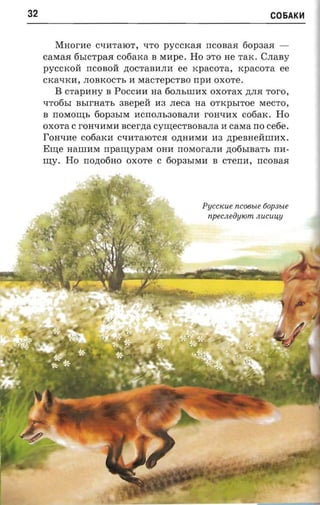 32                                                                C05AKH

        Mnor-ne   CqHTaIOT, qTO pyCCKa.H IICOBa.H 60p3a.H ­
     CaMa.H 6bICTpa.H cofi axa B Mllpe. Ho 3TO He TaK. CJIaBy
     pyCCKOll IICOBOll AOCTaBHJIll ee KpaCOTa, KpaCOT a ee
     cxa-ncn, JIOBKOCTb H MaCTepCTBO IIpH OXOTe.
        B   crapnny B POCCHH na 60JIbIIIHX OXOTax A JI.H roro,
     qTo6bI   nsrrnarr,   anepeit H3 .neca na OTKpbIToe MeCTO,
     B IIOM0I.I.J;b 60P3bIM llCIIOJIb30BaJIH rOHqHX cotiax . Ho
     OXOTa C rOHqllMll ncerna c v m e c r n o s ana II caraa IIO ce6e.
     I'on-me cofiaxn CqHTaIOTC.H OAHHMH H3 ApeBHellIIIHX.
     Er.u;e HaIIIHM npanrypaxr OHH IIOMOraJIH Ao6bIBaTb IIH­
     nry.   Ho IIOA06HO OXOTe C 60P3bIMH B CTeIIH, IICOBa.H




                                               Pu ccicue ncoeue tiopsue
                                                npecneinpom. Jl Uc u4Y
 