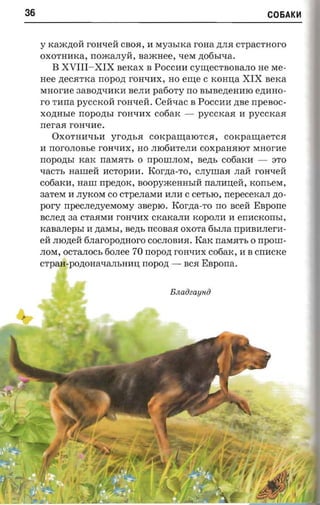 36                                                                C06AKlt1


     y KaJK,n;oii rOH"lleii CBOR, II My3hIKa rona ,n;JIR c-rpacrnoro
     OXOTHIIKa, noacanyii, BaJKHee, "lleM ,n;o6hI"lla.
        B XVIII- XIX nercax B POCCIIII CYII.J;eCTBOBaJIO He Me­
     nee ,n;eCRTKa nopozt rOH"llIIX, HO eII.J;e C KOHIJ;a XIX nerca
     MHorIIe 3aBo,n;"llIIKll BeJIII pafio-ry no BhIBe,n;eHIIIO e,n;IIHO­
     ro TIIIIa pyccrcoii rOH"lleii. Ceirsac B POCCIIII zrse npeaoc­
     xoznrsre nopozrsr rOH"llIIX cotiax - pyccrcaa II pyccrcaa
     rrer-aa roa-nre.
         OXOTHII"llhII yrozn.a COKpaII.J;aIOTCR, COKpaII.J;aeTCR
     II IIOrOJIOBhe rOH"llIIX, HO JII06IITeJIII coxpanaror MHorIIe
     IIOpO,n;bI KaK IIaMRTh 0 IIpoIIIJIOM, aezn, co6aKII - ::lTO
     xac'rs aanreii IICTOpIIII. Korzta-ro, cnyuras JIaM rOH"lleii
     Co6aKII, Ham IIpe,n;OK, noopyxcearrsrii IIaJIIIIJ;eii, KOIIbeM ,
     3aTeM II JIyKOM co CTpeJIaMII IIJIII C cersro, nepecexan zto­
     pory npecnezryeraosry 3BepIO. Korna-ro IIO Bceii Espone
     BCJIe,n; aa CTaRMII rOH"llIIX CKaKaJIII KOpOJIII II eIIIICKonhI,
     rcasanepsr II ,n;aMbI, aezn, IICOBaR OXOTa6hIJIa IIpIIBIIJIerII­
     eii JIIO,n;eii 6JIarOpo,n;Horo COCJIOBIIR. KaK IIfuV1RTh 0 IIpOIII­
     JIOM, OCTaJIOCh 60JIee 70 nopozt rOH"llIIX cooax, II B cnIICKe
     CTpaH-po,n;OHa"llaJIbHIIIJ; IIOpO,n; - BCR Espona.


                                        BJWOzayHO
 