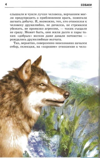 4                                                                    C06AKH


    CJIhlIIIaJIlI II tIy.HJIII JIytIIIIe tIeJIOBeKa, BOptIaHHeM Mor­
    JIll rrpezryrrpeznrrt, 0 rrpH6JIlImeHHlI spar-a, rrOMOraJIII
    aar-na'rt, .n;06hItIy.   II,   B03MomHO, Tex, KTO OTHOCIIJIC.H K
    tIeJIOBeKy .n;pymeJII06HO, He .n;lItIllJIC.H, He CTpeMllJIC.H
    y6emaTh, He rrpO.HBJI.HJI arpeccarr , -            raicax C'he.n;aJIll
    He cpaay.    Moacer       6hITh, OHH mllJIll ztorrr-o H    napsr   ra­
    KllX   «.n;06PhIX » BOJIKOB zraace .n;aBaJIH rrOTOMCTBO ­
    poxczranacr,   npyacemotiasre         BOJItIaTa.
       TaK, BepO.HTHO, COBepIIIeHHO HeOC03HaHHO HatIaJIC.H
    OT6op, CeJIeK:O;II.H, na        «xopomee .   OTHOIIIeHlle K tIeJIO­
 