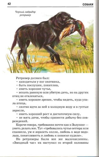 42                                                                  COEiAK~


       LJepuuii natipaoop
           pempueep




        PeTpIIBep p;OJIjKeH 6hIJI:
         • HaXOp;IIThC.H y nor OXOTHIIKa,
         • 6hITh rrOCJIyIIIeH, IIOH.HTJIIIB,
         • IIMeTh    xopornee   qyThe,
         • IICKaTh panenyro IIJIII yfirrryro P;IIqh, HO na zrpyr-ax
     IITIIU; He OTBJIeKaThC.H,
         • IIMeTh    xopornee apenne,      qTo6hI BIIp;eTh, xyzta yrra­
     JIa IITIIu;a,
         • OXOTHO IIP;TII aa HeH B XOJIOp;Hyro BOP;y II B      r-ycrsre
     3apOCJIII,
         • IIMeTh XOpOIIIIIH POCT II p;OCTaTOqHYro CIIJIy,
         • He M.HTh P;IIqII, qTo6hI IIpIIHeCTII P;06hIl.J:Y 6e3 IIOB­
     pejKp;eHIIH.
       Kopone rOBOp.H, Tpe6oBaRII.H rrOqTII KaK K 30JIyIIIKe ­
     yMeTh p;eJIaTh ace, TYT «Tpe6oBaJIIiCh l.J:YThe cer-repa IIJIII
     CIIaHIIeJI.H, yM II 30pKOCTh KOJIJIII, JIro60Bh K nozre BOP;O­
     JIa3a, IIOH.HTJIIiBOCTh II JIro60Bh K IIOHOCKe IIyp;eJI.H ».
        Ho    perpnaepsr        6hIJIli   see   jKe   MaJIOqIICJIeHHhI.
     «3Be3p;HhIH xac » IIX HacTyIIIIJI co BTOPOH rrOJIOBIIHhI
 