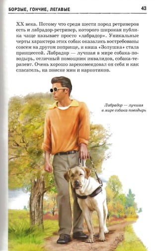 60P3b1E, rOH"IHE, llErABblE                                               43


   XX nexa. Tlororay qTO cpezm rneCT11 nopozt peTp11BepOB
   ecrr. 11 .nafipanop-pe-rpmsep, rcoroporo IIlI1pOKaH rry6JI11­
   xa xame Ha3bIBaeT rrpOCTO «.naopanop». YH11KaJIbHble
   xepr-sr xaparcrepa ST11X cotiax OKa3aJI11Cb BOCTpe6oBaHbI
   COBceM aa zrpyror« rronpmne, 11 nama «30JIyIIIKa» CTaJIa
   npanneccoii. JIa6pa.n;op - JIyqlIIaH B M11pe cofiaxa-rto­
   aoznaps, OTJI11qHbIM: rrOMOIIJ,H11K 11HBaJI11.n;OB, cotiaxa-re­
   panear. Oxem, xoponro 3apeKOMeH.n;OBaJI OH ceoa 11 KaK
   cnacarern., na rr011CKe M11H I1 HapKOT11KOB.




                                                  JIatipaiiop -   .ny'lWa.R.
                                              6   uupe cotiatca-noeooup«




                                                  ;0
 