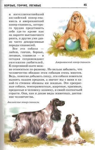 60P3b1E, rOHliHE, J1ErABbIE                                                 45


   l1:    l1:HTeJIJIl1:reH THellllIl1:ll
   anrJIl1:ll CKl1:ll       rcoxep-cn a­
   Hl1: eJIb   l1: aMepl1:KaHCKl1:ll
   xoxep-cnanaens, KOTOpO­
   ro     Tpy,n;HO        rrpe,n;CTaBl1:Tb
   ce6e      rne-ro        KpOMe      KaK
   n a naprcere BbICTaBO'IHOrO
   panra, l1: ztpyr-ae yace ,n;aB ­
   HO 'Il1:CTO      nercoparnnasre
   rrOpO,n;bI CrraHl1:eJIell •
         Bce    3 T l1:    C06aKl1:
   .nainca,     rOH'Il1:e,      fiopaste ,
   JIeraBble, CrraHl1:eJIl1: -          l1:
   CerO,n;H.H      COnpOBOJR,n;aIOT
   OXOTHl1:KOB -JII06l1:TeJIell .               A inepUKan CKUU «otcep-cnanuen»
   K     CrrOpTl1:BHOll OXOTe MOJR­
   HO OTHOCl1:TbC.H rro- pa3HOMY. Ho HeJIb3.H 3a6bIBaTb, 'ITO
   'IeJIOBe'IeCTBO 06R3aHO 3Tl1:M C06aKaM O'IeHb MHOrl1:M.
   Bezu., noraoraa ,n;06bIBaTb mmry,          3Tl1: C06aKl1: rrOMOraJIl1:
   BbIJRl1:Tb aauraxr npezncara, a 3Ha'Il1:T MbI C BaMl1: B rca­
   KOll -TO crenemr 06R3aHbI llM JRl1:3HblO. 8TO npercpac­
   m.re C06aKl1: , resmepanearmae, aaaprnsre , xpacnasre,
   rrpezranusre l1: 'IeJIOBeKY-X03.Hl1:HY , II cnoeii OXOTHl1:'Ibell
   crpacra. OHl1:, KaK II ,n;l1:Kl1:e Bll,n;bI JRl1:BOTHbIX, ,n;OCTO.H­
   nne 'IeJIOBe'IeCTBa.

  AnZJlUUCKUe tcotcep-cnauu eiui
 