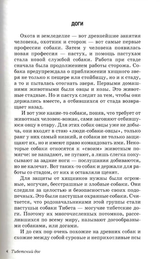 Aor~


     OXOTa II 3eMJIe,n;eJIlle -        BOT   npenaemune      3aHHTllH
 qeJIOBeKa, OXOTHllK II CTOpO)K -               BOT   casrsre rrepnsre
 rrpO~eCCllll C06aKll. 3aTeM y               qeJIOBeKa rrOHBllJIaCb
 HOBaH      nporpeccna -         nac'ryx , II noracurs nacrvxa a
 CTaJIa HOBOll: CJIy)K60ll: C06aKll.           Pa60Ta      npn   crane
 cna-rana 6bIJIa npononxcenaera pa60TbI CTOpO)Ka. CO­
 6aKa npezrynpeaczrana 0 rrpll6JIll)KeHllll xnnraoro 3Be­
 pa He TOJIbKO K neniepe llJIll CTOH61l~y, HO II K crany,
 a TO II nsrranacs oror-aarr, 3BepH. Ilepnsnan ,n;OMaIII­
 HllMll )KllBOTHbIMll 6bIJIll OBIJ;bI II K03bI. 8'1'0 )KllBOT­
 nsre crazrasre. Ho II nacryx c.nezra-r aa TeM, qT06bI OHll
 zrepxcanacs BMeCTe, a OT61lBIIIllXCH 0'1' crazra B03Bpa­
 rnaer aaaazt.
    11 BOT yxce xarcne-ro C06aKll, rrOH.RB, qTO rpetiyer 0'1'
 )KllBOTHbIX qeJIOBeK-BO)KaK, caran 3arOHHIOT OT61lBIIIy­
 lOCH OBIJ;y B     orapy.   ,IJ;JIH a'rnx c06aK OBIJ;bI yxce He ,n;06bI­
 qa, onn BXO,n;HT B CTaIO «JIIO,n;1l-c06aKll-0BIJ;bI», TOJIbKO
 panr y     anx caMbIH H1l3Kllll:, II C06aKll He TOJIbKO aarrm­
 ~aIOT ax, HO 1l1lMeIOT         npaso KOMaH,n;OBaTb llMll.       HeKO­
 ropsre     C06aKll OTHOC.RTC.R K        «CBOllM»     )KllBOTHbIM rro­
 M.Rrqe: He nanaztator, He rryraro'r, a JIllilib CJIerKa norcy­
 CbIBaIOT aa aannne aorn -            rrOCJIyIIIaHllH ,n;06llBaIOTCH,
 HO He xanexar. BOT TaKllX-TO c06aK II              nepacann ,n;JI.R pa­
 60TbI CO cranora, 0'1' unx II OCTaBJI.RJIll ~eHHT.
     ,IJ;JIH aanrar sr 0'1' Xll~HllKOB HY)KHbI 6bIJIll       orpoxr­
 HbIe, Moryqlle, 6eCCTpaIIIHbIe II 3JI06HbIe            C06aKll. Onn
 crreztana aa IJ;eJIOCTbIO II 6e30rracHocTbIO CBOllX nozro­
 nes asrx. 8'1'0 6bIJIll  nacryursn oxpaansre C06aKll. Csrn­
 TaeTC.R, qTO       poztona qaJIbHllKaMll aToll: rpyrrm.r CTaJIll
 rracrynn,n C06aKll T1l6eTa -             Moryqlle T1l6eTCKlle no­
 I'll.   Iloaroray   nx MHOrOqllCJIeHHbIX IIOTOMKOB, pacce­
 JIllBIIIllXCH rro nceray MllPY, Ha3bIBaIOT            ztoroofipaama­
 Mll cofiaxars a, llJIll ,n;oraMll.
     11   zro cnx rrop ouem, noxoxcae naztpennnx c06aK II
 CXO)Klle Me)K,n;y C060H cyponsre II aenpnxor rmasre ncsr



T u6em CKUU iioz
 