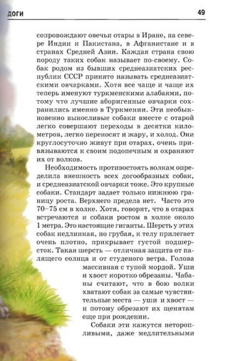 or~                                                                     49

      corrpoaoacnaror OBelIbH      orapsr   B   Hpane,     na cese­
      pe HH,n;HH H IIaKHcTaHa, B A<t>raHHCTaHe H                   B
      CTpaHaX     Cpezraeji   A3HH.   Eaxcnaa      crpana CBOIO
      nopony TaKHX C06aK Ha3bIBaeT rrO-CBOeMY. CO­
      6aK pO,n;OM H3 6bIBllIHX Cpe,n;Hea3HaTCKHX pee­
      rry6JIHK CCCP rrpHHJITO Ha3bIBaTb cpezmeaanar­
      CK11M11 OBlIapKaMH. XOTJI BCe xame 11 -raure HX
      Terrepb HMeHyIOT TypKMeHcKHMH aJIa6aJIMH, no ­
      TOMy lITO JIylIllIHe    ariopnrennsre       OBlIapKH COX­
      paHHJIHCb HMeHHO B TypKMeHHH. 8TH Heo6bIK­
      HOBeHHO BbIHOCJIHBbIe C06aKH BMeCTe C orapoii
      JIerKO COBepllIaIOT     rrepexozrsr   B ,n;eCJITKH KHJIO­
      MeTpOB, JIerKO rrepeHOCJIT H xcapy, 11 XOJIO,n;. OHH
      KpyrJIOcyTolIHO mHByT npn orapax , oxem. npn­
      BJI3bIBaIOTCJI K CBOHM nonorrexm.ne H OXpaHJIIOT
      HX OT BOJIKOB.
        Heo6xo,n;11MOCTb rrpOTHBOCTOJITb BOJIKaM orrpe­
      ,n;eJI11JIa BHellIHOCTb scex ,n;or006pa3HbIX C06aK,
      H Cpe,n;Hea311aTCKOrr OBlIapKH Tome. 8TO            rcpyrrasre
      c06aKH.     Crannapr aaziaer TOJIbKO HllmHIOIO rpa­
      H11US pOCTa.    Bepxnero rrpezte.na HeT. "Iacro 3TO
      70-75    CM B XOJIKe. XOTJI, rOBOpJIT, lITO B orapax
      BCTpelIaIOTCJI H c06aKH pOCTOM B XOJIKe OKOJIO
      1 xrerpa.   8TO HaCTOJIru;He rHraHTbI.     Illepcrr. y   3THX
      c06aK He,n;JIHHHaJI, HO rpyfiaa, K TeJIy rrpaneraer
      OlIeHb   rrJIOTHO,   npaxpsraaer      rycTorr       noznnep­
      CTOK. TaKaJI nrepcrr, -      OTJIHlIHaJI aamnra OT rra­
      .narnero COJIHu;a H OT cryzrenoro aerpa. rOJIOBa
                       MaCCHBHaJI C Tyrrorr Mop,n;orr.         Y IlIH
                       11 XBOCT KOpOTKO     otipeaaasr.      TIa6a­
                       HbI ClIHTaIOT,    lITO B     60IO BOJIKH
                       XBaTaIOT c06aK aa        caxrsre   lIyBCTBll­
                       TeJIbHbIe MeCTa -        YIlIH H XBOCT ­
                       H norosry 06pe3aIOT 11X ru;eHJITaM
                       eru;e npn poxcnenaa.
                           C06aKH 3TH KamyTCJI aeropon­
                       JIHBbIMH,    ztaxce Me,n;JIHTeJIbHbIMll
 