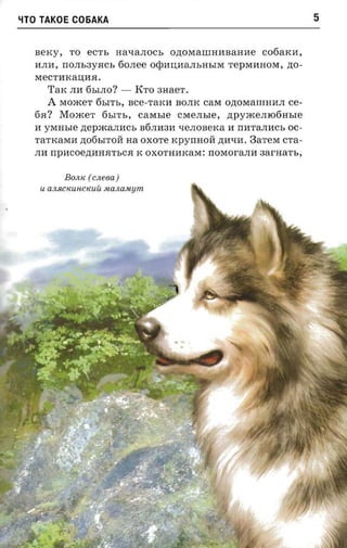 ~TO   TAKOE C06AKA                                                                 5


  sexy,       TO    ecrr-       navanocs O,n;OMaIIIHIfBaHIfe C06aKIf,
  IfJIIf, nOJIb3YJlCb 60JIee oqmU;IfaJIbHbIM TepMIfHOM, zto­
  MeCTIfKaU;IfJl .
        TaK JIIf 6bIJIO? -          KTO 3HaeT.
        A   MomeT 6bITb, sce-raxa BOJIK care o,n;OMaIlIHIfJI ce­
  6J1?      Moace r        6bITb,   care sre    CMeJIble,    npyxcemofiasre
  If YMHble ztepxcanncs B6JIIf3If l.leJIOBeKa If nIfTaJIIfCb OC­
  TaTKaMIf ,n;06bITOM na OXOTe                 xpynnon ,n;Ifl.lIf .   3aTeM CTa­
  JIIf rrpncoezraaarsca K OXOTHIfKaM: nOMOraJIIf aar-aarr.,


             EOJl,/( (   c.neea )
      U a J/,RCKUfiCKUU J
                        1WJW M y m
 