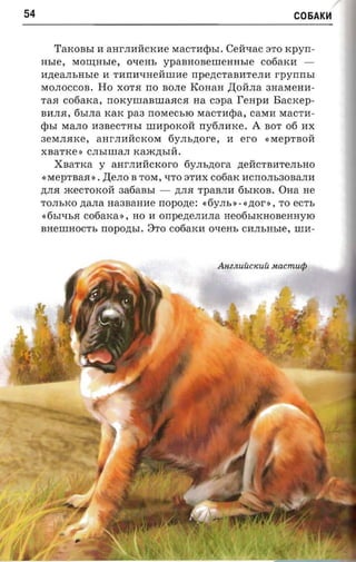/
54                                                                  C05AK~



        TaKOBbI H aHrJIHllCKHe M a CTHepbI. C ell"LIaC ST O rcpyrr­
     nsre,   M0:W;HbIe,    O"LIeHb ypaBHOBeJlIeHHbIe C06aKH           ­
     H,D;eaJIbHbIe H THIIH"LIHellJlIHe IIpe,D;CTaBHTeJIH      r-pyrrrrsr
     MOJIOCCOB. Ho XOTR 110 BOJIe KOHaH ,D;ollJIa 3HaMeHH­
     TaR   cofiarca,                na cepa I'enpn Bacxep­
                       1I0KYJlIaBJlIaRCR
     BHJIR, 6bIJIa KaK paa 1I0MeCblO MaCTHepa, casra MaCTH­
     <pbI MaJIO H3BeCTHbI JlIHpOKOll lIy6JIHKe. A BOT 06 HX
     3eMJIRKe,      aHrJIHllCKOM      6yJIb,D;Ore ,   Hero   «MepTBOll
     XBaTKe ,) CJIbIJlIaJI KaJK,D;bIll.
        XBaTKa y        aHrJIHllCKOro 6 YJIb,D;Ora ,D;ellCTBHTeJIbHO
     «MepTBaR '). ,D;eJIO B TOM, t.ITO STHX c06aK HCIIOJIb30BaJIH
     ,D;JIR JKeCTOKOll 3a6aBbI -       ,D;JIR TpaBJIH 6bIKOB. OHa He
     TOJIbKO ,D;aJIa Ha3BaHHe 1I0pO,D;e: «6yJIb ') - «,D;or », TO   ecrr,
     (,6bIt.IbR   cofiaxa »,   HO H Ollpe,D;eJIHJIa He06bIKHoBeHHylO
     BHeJlIHOCTb 1I0pO,D;bI. 3TO c06aKH oxem, CHJIbHbIe, JlIH-




                                                  Anz.nUUCKUU nacmiup
 