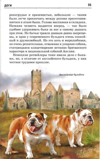 AorH                                                                 55


  poaorpyzrsre      M rrpM3eMMCThIe,    netiom.nrae -      TaKMM
  6hIJIO nerve rrpOCK01.£MTh Mem,n;y porasra rrpMrOTOBMB­
  IIIerOCJI K   araxe   6hIKa. rOJIOBa MaCCMBHaJl B CKJIa,n;Kax.
  HMmHJIJI 1.£eJIIOCTh BhI,n;aeTCJI anepezr, - TaK 6hIJIO
  yztotiace ynepacaaa'rs 6hIKa aa HOC M caMoMy ,n;bIIIIaTh
  rrpa 8TOM. Ho 6hI1.£hM TpaBJIM ,n;aBHhIM-,n;aBHO aanperne­
  HbI, M npas y COBpeMeHHOrO 6YJIh,n;Ora 01.£eHh cnotcoii­
  HhIll M ,n;pymeJII06HhIll. Ho 8TO XOTh M MMpOJII06MBaJl,
  HO 01.£eHh peIIIMTeJIhHaJl, OTBamHaJl M     ynopnaa     C06aKa,
  C1.£MTalOI..IJ;aJlCJI OJIM:u;eTBOpeHMe MCTMHHO 6pMTaHCKOrO
  xaparcrepa     M Ha:U;MOHaJIhHOll C06aKOll AHrJIMM.
       HeMe:U;KMe   porneanepsr    TOme MMeJIM ,n;eJIO C 6hIKa­
  MM, HO, B OTJIM1.£Ue OT aHrJIUllCKOro 6yJIh,n;ora, y HMX
  1.£eCTHOe Tpy,n;OBoe rrpOIIIJIOe.




                                           AnZJLUllCKue 6yJl-bOOZU
 