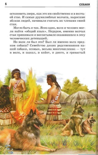6                                                                COEiAKH


    OCTaHOBllTb 3BepH, KaK aTO liM CBOHCTBeHHO II B BOJFlb­
    eH crae.     11 casn.re zrpyxcemofiasre BOJItIaTa, nsrpocnme
    B6JI1l311   JIIOp,eH, na-ranarnr CtIHTaTb nx tIJIeHaMli CBOeH
    CTaH.
         Mer-no 6bITb II TaK.     5!CHO O.n;HO, BOJIK H tIeJIOBeK MOr­
    JIll HaHTli «06I.I.J;HH H3bIK».     Henapora,   llMeHHO BOJI"tIbli
    cran npmraxtarra       II   aocrra'rsmana OKa3aBIlIHXCH B .necy
    "tIeJIOBe"tIeCKliX   nerem.nneii.
         Ho BOJIK JIll 6bIJI aTO? BbIJI JIll llMeHHO BOJIK rrpezr­
    KOM    cofiarcn? CeMeHCTBO .n;llKliX pop,CTBeHHHKOB na­
    IlIeH  cofiaxn, rrCOBbIX, aecsraa MHOrOtIllCJIeHHO - TyT
    II   BOJIK, II IlIaKaJI, II KOHOT, II znrar-o, H rpanac-n.rii
 