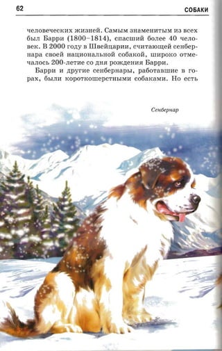 62                                                           C06AK~



     ~eJIOBe~eCKHx mH3Heil. CaMbIM 3HaMeHHTbIM H3 BCeX
     6bIJIBappn (1800 -1814), cnacumii 60JIee 40 qeJIO­
     BeK. B 2000 rozry B Il.lnemtapn.a, CqHTaIOII.J;ell cenriep­
     napa caoeit Ha:O;HoHaJIbHOll cofiarcoii, IIIHpOKO OTMe­
     ~aJIOCb 200-JIeTHe co .n;H.H poacnerraa Bappn.
        Bappn H zrpyr-ae cenfiepnapr,r, pafiorannrne B ro­
     pax, 6bIJIH KOpOTKOIllepCTHbIMH coriaxasra. Ho ecr-s




                                                Cenrie uap
                                                      p
 