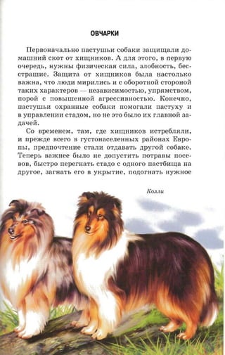 OBlfAPK"

    IIepBoHaqaJIbHO nacryun,a C06aKM 3a~MI.lJ;aJIM zro­
MaIIIHMH: CKOT OT XM~HMKOB. A .n;JI.H arcro, B nepsyro
oxepens, HymHbI <pM3MqeCKa.H CMJIa, 3JI06HOCTb, 6ec­
crpanrae. 3a~MTa OT XM~HMKOB 6bIJIa HaCTOJIbKO
naxcaa, qTO JIIO.n;M MMpMJIMCb M C 060POTHOH: CTOpOHOH:
TaKMX xapaKTepOB - He3aBMCMMOCTblO, yrrp.HMCTBOM,
nopoii C rrOBbIIIIeHHOH: ar-peccnanoc-n.ro. KOHeqHO,
nacrynrsn oxpaaasre c06aKil nOMOraJIM nacryxy il
B vnpaanenna CTa.n;OM, HO He STO 6bIJIO nx rJIaBHOH: aa­
.n;aqeH:.
    Co apexrenera, TaM, rne XM~HMKOB MCTpe6JI.HJIil,
M npeacne scero B rycToHaCeJIeHHbIX paH:OHaX EBPO­
rrst, npenno-rrenae CTaJIil OT,n;aBaTb ,n;pyrOH: cotiaxe.
Terrepr, naacaee 6bIJIO He zrorrycra'n, norpansr rroce­
BOB, 6bICTpO nepernarr, crano C onnoro nacrfimna na
ztpyroe, aarna-n, ero B YKpbITMe, nonor-aa'rs nyxcaoe
 