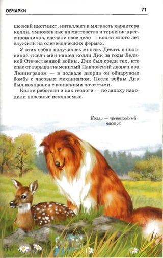 OB~APKH                                                                          71


  IIIeCKIIM: IIHCTIIHKT, IIHTeJIJIeKT II M.HI'KOCTh xapaxrepa
  KOJIJIII, YM H OJK e H H h Ie ua MaCTepCTBO II re p nenae zrpec­
  ClipOBIlJ,IIKOB, cnenann CBOe ,n;eJIO -                KOJIJIIi MHOI'O JIeT
  CJIYJKIIJIIi na OJI e H e BO,IJ;'I e CK Ii X rp e p ja a x.
     Y   8TlIX co fiarc rrO JI Y'I aJI OCh MHOI'Oe . ,1J;eC.HT h C rrOJIO­
  BIiHOM: ThIC.H'I MIiH aarne,n K OJIJIIi ,1J;IIK aa I'O ,n;hI B e JI II ­
  KOM: O T e 'l e CT BeH H OM: BOM:HhI. ,1J;IIK 6hIJI cpezra TeX, KTO
  crrac OT B3phIBa 3HaMeHIIThIM: IIaBJI OBCKIIM: ,n; BOpeIJ, nozt
  JIeHIIHI'pa,n;OM -          B rr onnane ,n;BOpIJ,a OH 0 6 H a p YJK lIJI
  60M6y C '1aCOBbIM MeXaHII3M OM . IIocJIe BOM:HbI ,1J;IIK
  6hIJI rrOXOpOHeH C BOIlHCKIiMIi rrO'leCT.HMII .
      KOJI JIIi pa60TaJIH II KaK I'eOJIOI'Ii -             rro aanaxy HaXO ­
  ,n;IIJIH rrO JIe3HbIe IICKOnaeMbIe .




                                                    KOJIJIU -    npe60CXOaHblU
                                                                nacmyx
 