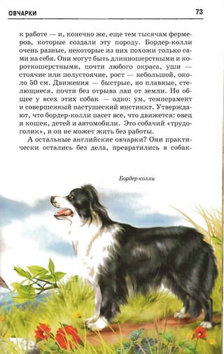 OBliAPKH                                                                     73


   K pafiore -      I1, KOHeqHO      me,   erne TeM ThICR:qaM epepMe­
   POB, xoropsre C03,ZJ;aJII1 3TY nopozry. Bop,ZJ;ep-KOJIJII1
   ovens paaasre, nexoropsre II3 HI1X noxoacn TOJIbKO ca­
   MI1 na cefia. OHI1 MoryT 6hITb ,ZJ;JII1HHOllIepCTHhIMI1 I1 KO­
   pOTKOllIepCTHhIMI1,        nO'tlTI1 nrofioro OKpaca,          ynnr   ­
   CTOR:'tlI1e I1JII1 nOJIycTOR:'tlI1e, POCT -     He60JIhIlIOH, OKO­
   JIO   50   CM. ,IJ;BI1meHI1R: -    6hICTphle, HO    nrranasre, CTe­
   JIlOrn;I1eCR:, rrOqTI1 6e3 OTpbIBa .narr OT 3eMJIH. Ho 06­
   tnee y      scex 3TH X c06aK -          O,ZJ;HO: yM, TeMnepaMeHT
   H COBepllIeHHhIH nacryurecroni HHCTIIHKT.                  YTBepm,ZJ;a­
   lOT, qTO 60p,ZJ;ep-KOJIJII1 nacer nee, qTO ,ZJ;BHmeTCR:: onen
   II KOIlIeK, ,ZJ;eTeH H aBTOM06IIJII1. 3TO C06a'tlHH «Tpy,ZJ;O­
   rOJIHK », I1 OH He MomeT mHTh 6e3 pa60ThI.
         A   OCTaJIhHhle aHrJIHHCKHe OBqapKH? OHH nparcrn­
   'tleCKI1 OCTaJIHCh 6e3 ,ZJ;eJIa, npeBpaTHJII1Cb B              c06aK­




                                             Bopoep-icon nu
 