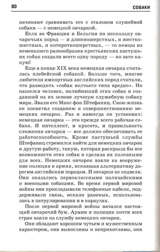 80                                                                     C06AK~



     Ha"tumaIOT CpaBHHBaTb ero C 3TaJIOHOM CJIyJKe6HOH
     c06aKH -      C HeMeI.:I;KOH onsapxon.
        ECJIH BO <t>paHI.:I;HH H BeJIbrHH rro HeCKOJIbKY OB­
     "tlapO"tlbHX rropozi -     H ,n;JIHHHOIIIepCTHbIX, H JKeCTKO­
     IIIeCTHbIX, H KOTOpOTKOIIIepCTHbIX, -                  TO HeMI.:I;bI H3
     HeMeHbIIIero pa3Ho06pa3HR KpeCTbRHCKHX rraCTYIIIb­
     HX c06aK C03,n;aJIH ncer'o oznry nopozry -               HO 3aTO rca­
     KYIO!
        EIIJ;e B KOHI.:I;e   XIX   serca HeMeI.:I;KaR cnxaprca C"tlHTa­
     JIaCb rrJIe6eHCKoH c06aKoH . BOJIbIIIe roro , MHorHe
     JII06HTeJIH HMrropTHbIX anrJIHHCKHX nopozt C"tlHTaJIH,
     "tlTO paaaozrm-s        «c06aK   BOJI"tlberO THrra npermo » . Ho
     HaIIIeJICR "tleJIOBeK, rroJII06HBIIIHH 3THX c06aK H C03­
     ,n;aBIIIHH na HX OCHOBe JIy"tlIIIyIO CJIyJKe6HyIO cofiarcy
     MHpa. 3BaJIH ero        Marco epOH    IIITecpaHHI.:I; . CBOIO JKH3Hb
     OH rrOCBRTHJI C03,n;aHHIO H COBepIIIeHCTBOBaHHIO He­
     MeI.:I;KHX OB"tlapOK . Pa3 H          HaBcer,n;a OH     yCTaHOBHJI:
     HeMeI.:I;KaR oaxaprca -         3TO npexcne ncero       pafiouaa   co­
     6aKa.    IT   HHTeJIJIeKT,       H   KpaCOTa,   H    rrpaBHJIbHOCTb
     CJIOJKeHHR oaxapxa -             ace ,n;OJIJKHO ooecrre-maa-n, ee
     pario-rocnocotiaocr-s.          KpOMe     nacrvnn.en        CJIyJK6bI
     IIITeepaHHI.:I; CTpeMHJICR HaHTH ,n;JIR HeMeI.:I;KHx oaxapox
     H zrpvr-yro paeory, TaKyIO, KOTopaR             pacxpsr.na    6bI see
     B03MOJKHOCTH 3THX c06aK H cne.nana HX rrOJIe3HbIMH
     ,n;JIR scex . HeMeI.:I;KHX oanapox B3RJIH aa scopyace­
     HHe rrOJIHI.:I;HR H apMHR, HCKaBIIIaR aJIbTepHaTHBy zro­
     porHM aHrJIHHCKHM nopozraxr .           IT oavaprcn He nozrsena.
     OHH     OKa3aJIHCb rrepBOKJIaCCHbIMH                rrOJIHI.:I;eHCKHMH
     H BoeHHbIMH c06aKaMH. Bo BpeMR nepnoii MHpOBOH
     BOHHbI OHH rrpOKJIa,n;bIBaJIH TeJIeepOHHbIe Ka6eJIH, non­
     ,n;epJKHBaJIH CBR3b,          HCKaJIH   panensrx ,     HCrrOJIb30Ba­
     JIHCb B rraTpyJIHpOBaHHH H B xapay.nax.
        IIocJIe nepnoii MHpOBOH BOHHbI Ha"tlaJICR HaCTOR­
     IIJ;HH OB"tlapO"tlHH 6yM . APMHH H rrOJIHI.:I;HH         no-rm   scex
     CTpaH B3RJIH na CJIyJK6y HeMeI.:I;KHX onxapcrc.
        OHH 06JIa,n;aIOT XOpOIIIHM "tlyTbeM H MYJKeC'I'BeHHbIM
     xaparcrepoxr, OHH BbIHOCJIHBbI H HerrpHXOTJIHBbI, OHH
 