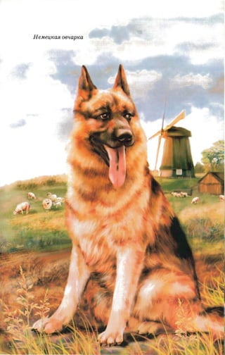 H eMe 4 /Ca.R.0811a p 1
                      W
 