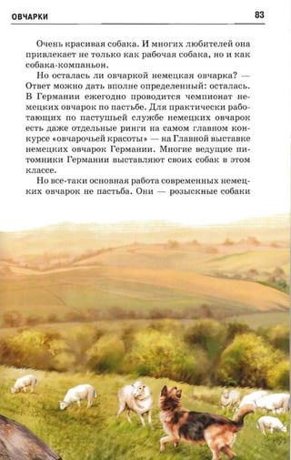 OBiAPKH                                                                  83

     Osrem,   KpaCHBaH   cotiaxa. If MHOrHX JIl06HTeJIerr OHa
   npHBJIeKaeT He TOJIbKO KaK     pafioxaa cofiarca, HO H KaK
   c06aKa-KOMnaHboH.
     Ho OCTaJIaCb JIH onxaprcon HeMeIJ,KaH onnapxa? ­
   OTBeT MomHO ,n;aTb BnOJIHe orrpenerremrsrri: OCTaJIaCb.
   B I'epraanna exceronao npOBo,n;HTCH qeMnHOHaT He­
   MeIJ,KHX OBqapOK no   nacr-sfie.   ,Il;JIH   rrparcr-a-recrcn patio­
   TaIOIIJ,Hx no nacrynn.ek cJIym6e HeMeIJ,KHX OBqapOK
   ecrr- naace ornensnsre pHHrH na caMOM rJIaBHOM KOH­
   rcypce «on-rapovseri rcpaco'rsn - aa rJIaBHOrr BbICTaBKe
   HeMeIJ,KHX OBqapOK I'epraauan. Maorne Be,n;yIIJ,He rrn­
   TOMHHKI1 I'epraaaaa BbICTaBJIHIOT CBOHX c06aK B 3TOM
   KJIaCce.
     Ho Bce-TaKH OCHOBHaH paoora COBpeMeHHbIx HeMeIJ,­
   KHX OBqapOK He nacrsoa, OHH -                P03bICKHbIe c06aKH
 