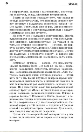84                                                                  C06AK~



     H nor-paaanmae, canepsr If TaMOJKeHHHKH, rrOH CKOBH­
     KH-crraCaTeJIH,    noaozrsrpa cnerrsrx     H oxpaHHHKH.
       BpeMR OT BpeMeHH npoxomrr CJIyx , "lITO KaKaR-TO
     nopozta patioraer JIy"lIIIIe, "lITO HeMeIJ;KylO oa-rapxy BOT ­
     BOT caepr-ayr C rrsenecrana CJIyme6Holl cofiarcn « HO­
     Mep O.n;HH ». TaK 6hIBaJIO yme He pas. O.n;HaKO 3TH BHe­
     aamro BOIIIe.n;IIIHe B MO.n;y nopoztsr rrpaxozrar H YX O.n;R T .
     A HeMeIJ;KaR onnapxa OCTaeTCR.
       Ho ecrr, y Hee H MJIa.n;IIIHe po.n;CTBeHHHKH. Bcerzta
     CYI.I.J;eCTBOBaJIH HeMeIJ;KHe OB"lIapKH C "lIyTh 60JIee .n;JIHH­
     HOll IIIepCThlO, .n;JIHHHOIIIepCTHhle.         3a yIIIaMH H       na
     ThlJIhHOll CTopOHe KOHe"lIHOCTell -            « ouecsre , rro KOp­
     rrycy IIIepCTh TOJKe "lIyTh .n;JIHHHee. TaKHe I.I.J;eHKH pOJK­
     .n;aIOTCR H y CT a H .n;a p T H h I X HeMeIJ;KHX OB"lIapOK. Cell"lIaC
                                    rropozry. B Eapone OHH
     HX Bhl.n;eJIHJIH B OT.n;eJIhHYIO
     oxeas JII06HMhl KaK cotiarca-rcoranansoma sa yM H xpa­
     COTY·
        HeMeIJ;KaR     onxapxa -        cofiarca,   "lITO HaShIBaeTCR,
     «BhlIIIe cpezmero pOCTa », ee POCT 58-65 CM. Ilpaaaa,
     scerna Haxo.n;HJIHCh JII06HTeJIH, KOTOphlM KaSaJIOCh,
     qTO « xopoureii cotiaxa .n;OJIJKHO 6hlTh MHOI'O». OHH rrsr­
     TaJIHCh paasozra'n, o-rens xpynnsrx OBqapOK -       nycrs
     XOTh sa 75 CM. TaKHe rcpynasre OBqapKH Tep.HJIH rrozt­
     BHJKHOCTh H BhIHOCJIHBOCTh, H HeMeIJ;KylO             onxaprcy    sa
     B CIO ee IfCTOpHIO He pas «BOSBpaI.I.J;aJIH » B paMKH CTaH ­
     zrapra. Ho B COBeTcKoM Coroae 6hlJI paapatioran HOBhlll
     craaztapr (pOCT zto 70 CM), H TaKHX 60JIhIIIHX OB"lIapOK
     CTaJIH HaShIBaTh BOCTO"lIHOeBpOrrellCKHMH. Ceiiuac B
     crpaaax 6hIBlIIeI'O COBeTCKOI'O Coroaa paaaozia-r B OC­
     HOBHOM HaCTORI.I.J;HX HeMeIJ;KHX OB"lIapOK, HO CBOH JIIO­
     6HTeJIH COXpaHHJIHCh H y BOCTOqHOeBpOrrell CKHX. Oc­
     HOBHOll   oxpac y 3TOll nopozrsr - q errpa"lIHhlll (x epaaa
     cnaua) C   cepetipncro-cepsna nonrranom. ,I.I;JIR HeMeIJ;­
     KHX OB"lIapOK 3TOT orcpac He paapeuren.
        KpOMe BOCTO"lIHOeBpOrrellCKOll OBqapKH e c 'rs y H a c
     H CBOR CTapHHHaR       nacryun,a nopona -         roacaop yccxaa
     oaxaprca.
 