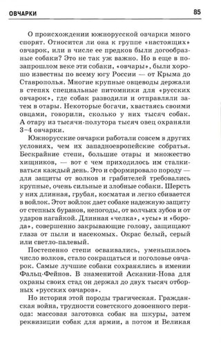 OB~APK~                                                                    85


      o rrpOHCXOJK,n;eHIHI IOJKHOpyCCKOH: OBL£apKH MHoro
  cnopar. OTHOCHTCH JIH OHa K rpynne (, HaCTOHI.JJ;HX'>
  OBL£apOK, HJIH B L£HCJIe ee        npemcon     6bIJIH    ztoroofipaa­
  asre     c06aKH? 8TO He TaK yJK BaJKHO. Ho B eI.JJ;e B rro­
  3arrpOIlIJIOM      aerce 3TH c06aKH, «OBL£apbI», 6bIJIH XOpO­
  IlIO H3BeCTHbI rro       scesry tor-y POCCHH - OT KpbIMa zto
  CTaBpOrrOJIbH.       Macr-ae tcpvrmsre onneaozrsr          ,n;epJKaJIH
  B CTerrHX      crrerraarn.asre    nHTOMHHKH ,n;JIH         « pyCCKHX
  OBL£apOK»,     rzte c06aK pa3Bo,n;HJIH        H OTnpaBJIHJIH      aa­
  TeM B     orapsr. Hexoropsre 60raL£H,         XBaCTaHCb CBOHMH
  OBo;aMH,      rOBOpHJIH,      CKOJIbKO y     HHX TbICHL£ c06aK.
  A orapy H3 TbICHL£H-rrOJIyTopa            TbICHL£   oaeu   OXpaHHJIH
  3-4 OBl.IapKH.
      IOJKHOpyccKHe OBL£apKH pa60TaJIH COBceM B                npyrnx
  yCJIOBHHX,      L£eM   HX 3ana,n;HoeBporreHcKHe            c06paTbH.
  BeCKpaH:HHe         crenn,   60JIbIlIHe    orapsr    H   MHOJKeCTBO
  XHI.JJ;HHKOB, -        BOT C L£eM npaxozranocr, HM CTaJIKH­
  BaTbCH KaJK,n;bIH ,n;eHb. 8TO H Cq)OPMHpOBaJIO rropo,n;y­
  ,n;JIH 3aI.JJ;HTbI OT BOJIKOB H rpa6HTeJIeH: Tpe60BaJIHCb
  icpyrmsre,     OL£eHb CHJIbHble H 3JI06Hble c06aKH. IIlepcTb
  y HHX ,n;JIHHHaH, rpyfiaa, KOCMaTaH H JIerKO c6HBaeTCH
  B BOHJIOK. 8TOT BOH:JIOK ztaer cofiarce nazrexcrryro 3aI.JJ;HTY
  OT CTerrHbIX fiypanon, nenorozn,i, OT BOJIL£bHX 3y60B H OT
  yztapon HaraH:KoH. ,II;JIHHHaH «L£eJIKa ,>, «YCbI» H           «fiopo­
  zta» ,   COBepIlIeHHO 3aKpblBalOI.JJ;He rOJIOBy, 3aI.IJ;HI.IJ;aIOT
  r-naaa OT rrbIJIH H HaceKOMbIX.            Oxpac    6eJIbIH:, cepr.ni
  MJIH CBeTJIO- naneasrrr.
      Tlocrerrenno       crerm    OCBaHBaJIHCb,        YMeHbIlIHJIOCb
  L£HCJIO BOJIKOB, CTaJIO COKpaI.IJ;aTbCH H rrOrOJIOBbe OBL£a­
  pOK.     Carasre   JIyL£IlIHe c06aKH COXpaHHJIHCb B HMeHHH
  <t>aJIbo;-<t>eHHOB. B     3HaMeHMTOH ACKaHHH-HoBa ,n;JIH
  oxpansr      CBOHX cran OH nepxca,n no ,n;BYX TbICHL£ OT60p­
  HbIX «pyCCKHX OBL£apOB».
      Ho HCTOpHH 3TOH          nopozrsr   TparHL£eCKaH. T'paxcnaa­
  CKaH BOH:Ha, Tpy,n;HOCTH COBeTCKoro zroaoemroro nepn­
  ozra:    MaCCOBaH 3arOTOBKa c06aK na                rmcypsr,   3aTeM
  peKBH3HIJ,HH c06aK ,n;JIH apMHM, a nOTOM H BeJIHKaH
 
