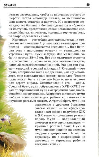 OB~APKH                                                             89

  HeJIb3H pacaecsrsarr., qTo6bI He napynrart- crpyrcrvpy
  wepCTI:I. Korna KOMOH,n;Op JIllHHeT, TO BbIJIllHllBaIO­
  nraa nrepcrs OCTaeTCH B KOJITyHe. II C B03paCTOM KO­
  MaH,n;op nee 60JIbWe II 60JIbWe onenaerca B «6POHIO »
  ll3 KOJITyHOB, rrpe,n;CTaBJIHH C060H neaatisraaeraoe 3pe­
  rrmne. Hnorna, CJIyqaeTCH, KOMOH,n;Op repaer mepcr's ,
  HO CKOPO «onea aer ca. CHOBa.
      KOMOH,n;op - :3TO cotiaxa ,n;JIH oxpaasr crazra , II CTO­
  poxc OH BeJIllKOJIerrHbIH, y Hero naace B cranzrapre npo­
  nacano - «HOqbIO zmar-aerca HeCJIbIWHO» . Ho B Bear­
  pan ec'rs II nacroaume osuapxa -              BeJIllKOJIerrHaH
   «TpOHKa»: rrymr, rrYMll II My,n;ll. 8TO MaJIeHbKlle CO­
  6aqKll pOCTOM 35-45 CM. Bee OHll OTJIllqHbIe cropoxca
  II KPbICOJIOBbI, n, KOHeqHO rrepBOKJIaCCHbIe nacryxn,
  Kam,n;bIH co CBoeH cneuaanaaauaeii. 8TO KaK Tpll 6pa­
  Ta - crapnraa , cpezraaii II MJIa,n;wllH. Crapmaa - :3TO
  rry.n a, llCTOPllH ero TaKaH me ,n;peBHHH, KaK II y KOMOH­
  ,n;opa, OH II BbIrJIH,n;IlT KaK «MllHll»-KOMOH,n;Op. TOJIbKO
  rrynn MomeT 6bITb He TOJIbKO 6eJIoro, HO II qepHOrO
  llJIll ceporo oxpaca. CneU;llaJIIl3aU;IlH ero -         OBU;bI.
  Cpezmait fipar , nyxrrr, o6pa30BaJICH B XVII-XVIII Be­
  xax OT cxpenraaanaii nYJI11 C OCTpOyXllM11 aarrazmoea­
  ponericrcnraa oauapxaraa. Aaaprnoro 11 JIOBKOrO nYM11
  JII0611JI11 llCnOJIb30BaTb ,n;JIH pa60TbI co CBllHbHMll 11
  KpynHbIM poraTbIM CKOTOM. A rpernfi fipar , My,n;ll, no
                         cpaBHeH11IO C ,n;pyrllM11 6paTbHM11
                         COBceM MaJIbIW -       OH C<pOPMllPO­
                         BaJICH « cax C060IO» na pyfiexce XIX
                         II XX BeKOB OT CMeWeH11H pa3HbIX
                         rropo,n;. My,n;11 -   BeJIllKOJIerrHbIH
                         CKOTorOH II ero CneU;llaJIIl3aU;IlH ­
                         KpyrrHbIH poraTbIH CKOT. IIYMll II
                         My,n;11 BHeWHe noxoacn na BeCeJIbIX
                         3a,LJ;OpHbIX zraopnaxcex. A BOT no
                         xaparcrepy nx C ,n;BopHHmKOH He
                         cnyTaewb -        cepbe3Hble patio-me
                       nacryrm.n cotiarca.
 