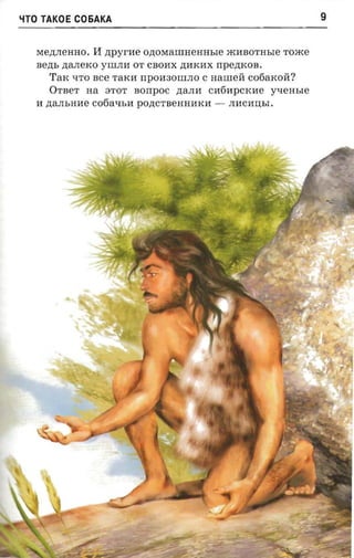 sro   TAKOE C06AKA                                                   9


              11 zrpyrae o.n;OMaIIIHeHHhle mHBOTHhle Tome
  Me,lJ;JIeHHO.
  sezn, zranexo yutnn OT CBOHX .n;HKHX npezncos.
       TaK qTO    ace   TaKH rrpOH30IIIJIO c   naureii   co6aKOM?
       OTBeT Ha STOT        Borrpoc .n;aJIH    cH6HpcKHe    yqeHMe
  H .n;aJIhHHe C06aqhH po.n;CTBeHHHKH -           JIHCHIJ;hI.
 