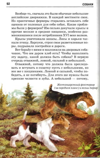 92                                                                      C06AK~



        Boo6ru;e-TO , CHa"tIaJIa STO 6hIJIli 06hI"tIHhIe He60JIhIlllIe
     aarJIlIrrCKlie ,n;BOpH.HmKlI. B Kam,n;Orr MeCTHOCTli CBOli.
     Ho    npax-norasre      epepMephI    crapanacs OCTaBJI.HTh ce6e
     ru;eHKOB OT rrOJIe3HhIX ,n;JI.H     cetia cofiarc. Kaxne npofine­
     MhI 6hIJIli   Y rpepraepon?     liM ClIJIhHO ,n;OKy-qaJIli KphIChI 1I
     npo-me     MeJIKlIe If    cpezra a e   XlIru;HIfKlI, OC06eHHO      paa ­
     MHOmliBIlllIeC.H rrOCJIe IfCTpe6JIeHlI.HB         XVI nexe    BOJIKOB.
        KPhIChI yHlI"tITOmaJIli  aanacsr. JIIfChI 1I XOphKlI rae­
                     Bapcyrcn, CTpO.H CBOli pa3BeTBJIeHHhIe HO­
     KaJIIf rrTlI:U;Y.
     psr, nozrpsmana nocrponxn If zropor-a.
         BOT 60ph6y C HIfMlI 1I B03JIOmliJIli na ,n;BOpOBhIX co6a­
     "tIOHOK. "tlTO liM napor« xJIe6 ecrr.? QTo6hI BhIIIOJIHIfTh
     STY   aanasy,       KaKOrr ,n;OJImHa 6hITh C06aKa? B           nepsyro
     oxepezn,   OTBamHOrr, JIOBKOrr, ClIJIhHOrr 1I          nerionsnron.
        OTBamHOrr,         norosry   qTO ,n;OJImHa       6hIJIa npec.nezto­
     sar-s 1I acrynarr, B cXBaTKy rrycrr, C He6oJIhlliliMlI, HO
     ace me C XIfru;HlIKaMIf. LTIoBKorr If ClIJIhHOrr, qTo6hI rro­
     6e,n;lITh, a He nor-afiny-n. . ,I.(JI.H aroro me HymHhI 6hIJIli
     xperncne qeJIIOCTIf 1I 3y6hI.          A   He6oJIhillOrr -    rrororay,

                                                  m ecmK OUlepcm HblU tpox cm epiep
                                                ( na nepeiineu n.nane) u een uu mepsep
 