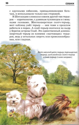 96                                                              COEiAK~



     C rcpyrmsnan cofiaxaxrn, rrpHHa,n;JIemaBIIIIIMII 6ora­
     xawr , H IICrrOJIhSOBaJIII TOJIhKO KaK cropoacea.
         B IIIoTJIaH,ll;HII CJIOmHJICR COBceM ,n;pyroH THrr repse­
     POB - KOpOTKOHorHe, C ,ll;JIIIHHhIM TyJIOBH:W;eM H C MOIIJ;­
     HbIMH rOJIOBaMH. meCTKOIIIepCTHhIe cxorn-repsep,
     BeCT XaHJIeH,n; yaHT Tephep - OHH Tome B rrpOIIIJIOM
     pa60TaJIH B nopax. A crcari-repsep OXOTIIJICR na BbI,n;p
     y 6eperoB OCTpOBa CKaH. ::lTO e,n;HHcTBeHHhIH ,n;JIHHHO­
     IIIepCTHhIH Tephep HS rrJIeMeHH «HacToRIIJ;HX » repse­
     pOB, nezn, y OCTaJIbHhIX IIIepCTh HJIH rrpOBOJIOKOo6pas­
     HaR, IIJIH r .nazncaa.




                                 Becm xaiin enii yaum meps ep, UO KUlUp CKUU

                                                                 p
                                   m epsep, UlOm.lWHiJcKUU ctcom u-mepiep

                                      U   cxau-mepuep ( cneea nanpaeo )

 