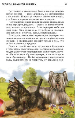 TEPbEPbl, WHAYUEPbl, nl-1Hl.fEPbl                                           97


      BOT TOJIbKO Y KpOIIleqHOrO HOpKIIll1pCKOrO      repsepa
   OC06aH      mepc'rs - TO)Ke .n;JIIIHHaH, HO IIleJIKOBIICTaH
   II He   JIIIHHeT. Illepcm, y «HopKa» pacrer BCIO )KII3Hb,
   11 JII0611TeJIII rropo,n;bI Ha3bIBalOT ee «BOJIOCbI » •
      113 TpII,n;.o;aTII   C JIIIIIlHIIM OCPII.o;IIaJIbHO rrpII3HaHHbIX
   rropozr TepbepOB .n;Ba,n;.o;aTb -       PO,n;OM II3 BeJIIIK06pIITa­
   HIIII, qeTBepO -        IIpJIaH,n;.o;bI. 8TIIX   repsepon   JII06HT BO
   BceM Mllpe. OHR OXOTHIIKII, CJIy)Ke6HbIe II                 cnop-mn­
   asre c06aKII II, KOHeqHO, sece.m-re KOMrraHbOHbI.
      Brraroztapa     OTBa)KHbIM xaparcrepara repsepoa IIC­
   rrOJIb30BaJIII II ,n;JIH BbIBe,n;eHIIH zrpyr-nx rropozr, 11 CJIOBO
   «repsep:     B l1X Ha3BaHIIII roaoprtr TOJIbKO 0 TOM, qTO
   OH 6bIJI B qIICJIe IIX npezncos.
      ,IJ;a)Ke B caMOH AHrJIIIII,          CKpern;IIBaH 6yJIb,n;orOB
   C repsepawa , rrOJIyqIIJIII c06aK, KOTOpbIX IICrrOJIb30Ba­
   JIll ,n;JIH ,n;aBHO yxce   aarrpeurennsrx        HbIHe C06aqbIIX 60­
   ea.   Hx   Ha3bIBaJIR «6YJIb-II-Tepbep», a rrOCJIe nOJIyqII­
   JIOCb «6YJIbTepbep». OT 6yJIb,n;oroB OHII yHaCJIe,n;OBaJIII
   CIIJIy, 3a,n;IIpIICTOCTb II yrropc'rao, OT repsepon JIOB­
 