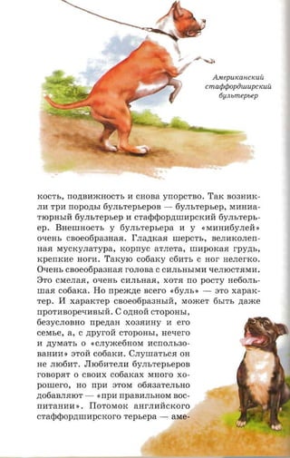 AMepUlWHCKUU
                                             cnuuptpopinuupctcuic
                                                 6yJlbmepbep




KOCTh, rro,n;BllmHOCTh II CHOBa ynopcrno. TaK B03HIIK­
JIll rpa nopozrsr 6YJIhTephepOB - 6yJIhTephep, MHHlla­
TIOPHhIll 6YJIhTephep II oratpdiopzmraporcnii 6YJIhTeph­
ep. BHernHOCTh y 6y.m.repr.epa II y «MIIHIl6yJIell »
o-rens cnoeotipaanaa. rJIa,JJ;KaJI urepc-rs , BeJIIIKOJIerr­
HaJI MycKyJIaTypa, xopnyc aTJIeTa, nmporcaa rpyzn.,
scpemcne nor-a. TaKyIO cofiarcy C611Th C nor HeJIerKO.
Oxem, csoeoopaaaaa rOJIOBa CCllJIhHhIMIl -qeJIIOCTJIMIl.
8TO CMeJIaJI, o-rens CllJIhHaJI, XOTJI rro pOCTy He6oJIh­
nraa cofiarca. Ho npexczte acero «6yJIh » - STO xapax ­
rep. II xaparcrep cnoeotipaaasra, MomeT 6hITh zraxce
npor aaope-raasra. C O,n;HOll CTOpOHhI,
6e3YCJIOBHO rrpe,n;aH X03JIIIHY II ero
cerase, a, C ,n;pyroll CTOpOHhI, nexero
H ,n;yMaTh 0 «CJIyme6HoM HCrrOJIh30­
BaHIIH » STOll cofiaxn. CJIyrnaThCJI OH
He JII0611T. JII0611TeJIH 6yrrs-repsepoa
rOBOpJIT 0 CBOIIX cofiarcax MHoro XO­
pornero, HO rrpn STOM 06JI3aTeJIhHO
,n;o6aBJIJIIOT - «rrpll rrpaBllJIhHOM BOC­
nrrranna ». IIoToMoK anrJIIIllCKOro
cradidiopnnrapcxoro Tephepa - aMe-
 