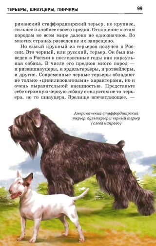 TEPbEPbl, WHAYLI,EPbl, m1H"IEPbl                                    99


   paxancrcnfi C'l'aepcl>op.n;IIIHPCKHff 'l'epbep, HO xpyrmee,
   CIIJIbHee II 3JI06Hee CBOerO npeznca. OTHOllieHIIe K 8TIIM
   noponasr BO BCeM MIIpe .n;aJIeKO He 0.n;H03HaqHoe. Bo
   MHorIIX crpaaax paaaezrenne IIX aanpenreao.
       Ho caMbIff KpyrrHbIff H3 TepbepOB norryven B POC­
   CIIII. 8'1'0 xepnsra, IIJIII pyCCKIIff, repsep. OH 6bIJI BbI­
   senea B POCCIIII B rrOCJIeBOeHHbIe rozrsr KaK rcapay.ns­
   Ha.H cotiaxa. B qIICJIe ero npezncon MHoro nopozr ­
   II pII3eHIIIHay:u;epbI, II apne.ns-repsepi,r, II porserinepsr,
   II zrpyr-ne. COBpeMeHHbIe xepn sre TepbepbI 06JIa.n;aIOT
   He TOJIbKO «IJ,IIBIIJIII30BaHHbIMII » xaparcrepaera, HO II
   oxem, BbIpa3II'l'eJIbHOff BHeIliHOCThIO. Tlpencruat.re
   ce6e orporcayro xepayro cofiarcy CCIIJIy8TOM He TO reps­
   epa, He TO unraynepa. Bpe.narne nrreuar.naroniee, -


                                AMepUKaHCKUU cnuuptpopinuupctcuii
                                mepsep, 6YJlbmepbep U uepnut: mepsep
                                          (cneea «anpaeo )
 