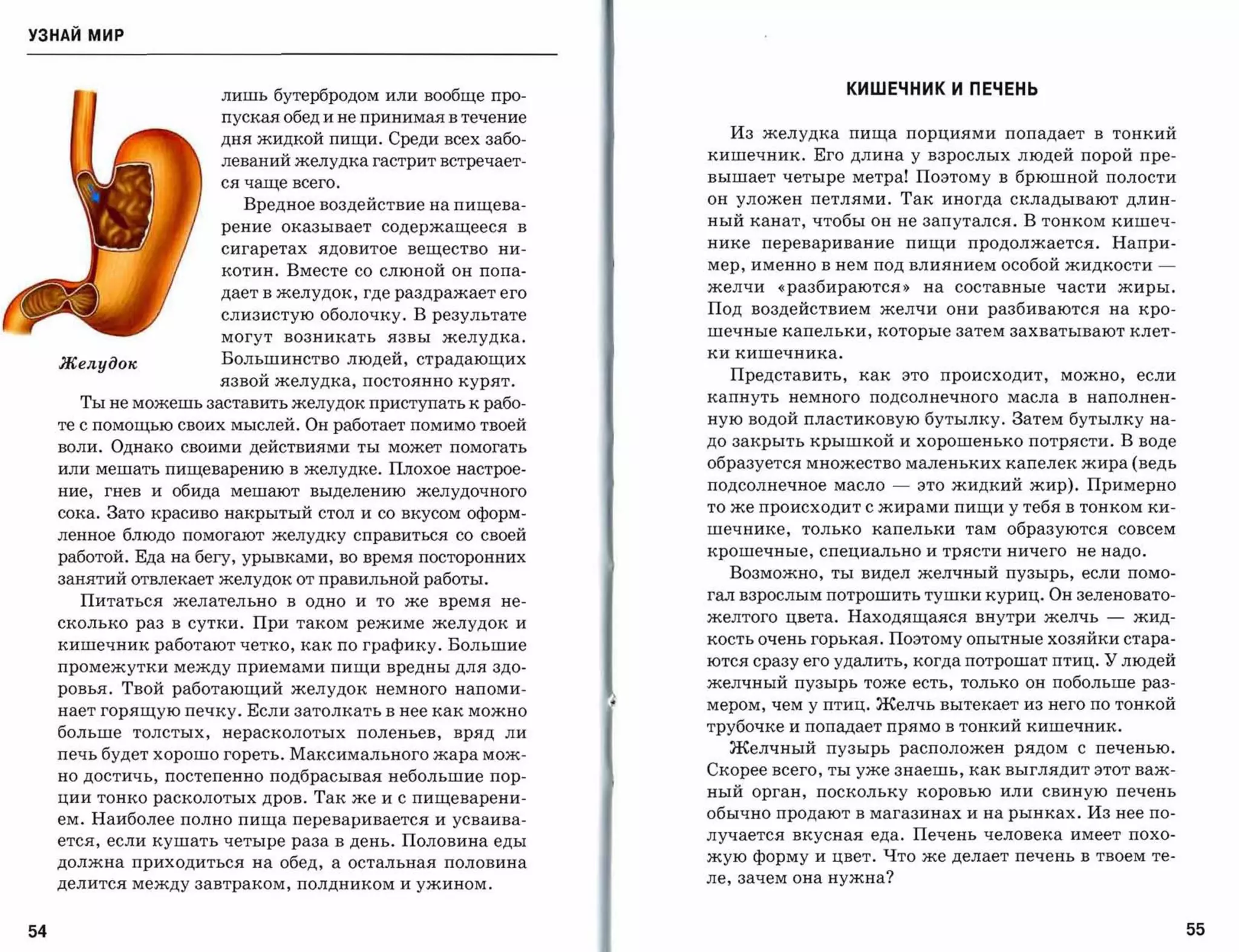 УЗНАЙ мир



                       лишь бутербродом или вообще про­                         КИШЕЧНИК И ПЕЧЕНЬ
                       пуская обед и не принимая в течение
                       дня жидкой пищи. Среди всех забо­         Из желудка пища порциями попадает в тонкий

                       леваний желудка гастрит встречает­      кишечник. Его длина у взрослых людей порой пре­

                       ся чаще всего.
                                                               вышает четыре метра! Поэтому в брюшной полости

                         Вредное воздействие на пищева­        он уложен петлями. Так иногда складывают длин­

                       рение   оказывает	 содержащееся     в
                                                               ный канат, чтобы он не запутался. В тонком кишеч­

                       сигаретах   ядовитое   вещество   ни­
                                                               нике переваривание       пищи   продолжается.      Напри­

                       котин. Вместе со слюной он попа­        мер, именно в нем под влиянием особой жидкости            ­
                       дает в желудок, где раздражает его
                                                               желчи   «разбираются,)    на составные части жиры.

                       слизистую оболочку. В результате        Под воздействием желчи они разбиваются на кро­
                                                               шечные капельки, которые затем захватывают клет­
                       могут   возникать	   язвы   желудка.
                                                               ки кишечника.
     Желудок	          Большинство людей, страдающих
                       язвой желудка, постоянно курят.           Представить,    как это происходит,      можно, если
                                                               капнуть   немного	 подсолнечного   масла   в    наполнен­
       Ты не можешь заставить желудок приступать к рабо­
     те с помощью своих мыслей. Он работает помимо твоей       ную водой пластиковую бутылку. Затем бутылку на­

     воли. Однако своими действиями ты может помогать          до закрыть крышкой и хорошенько потрясти. В воде

     или мешать пищеварению в желудке. Плохое настрое­         образуется множество маленьких капелек жира (ведь

     ние, гнев и обида мешают выделению желудочного            подсолнечное масло   -   это жидкий жир). Примерно

     сока. Зато красиво накрытый стол и со вкусом оформ­       то же происходит с жирами пищи у тебя в тонком ки­

     ленное блюдо помогают желудку справиться со своей         шечнике, только капельки там образуются совсем
                                                               крошечные, специально и трясти ничего          не надо.
     работой. Еда на бегу, урывками, во время посторонних
     занятий отвлекает желудок от правильной работы.             Возможно, ты видел желчный пузырь, если помо­

       Питаться желательно в одно и то же время не­            гал взрослым потрошить тушки куриц. Он зеленовато­

     сколько раз в сутки. При таком режиме желудок и           желтого цвета. Находящаяся внутри желчь           -   жид­

     кишечник работают четко, как по графику. Большие          кость очень горькая. Поэтому опытные хозяйки стара­

     промежутки между приемами пищи вредны для здо­
                                                               ются сразу его удалить, когда потрошат птиц. У людей
                                                               желчный пузырь тоже есть, только он побольше раз­
     ровья. Твой работающий желудок немного напоми­
     нает горящую печку. Если затолкать в нее как можно        мером, чем у птиц. Желчь вытекает из него по тонкой

     больше толстых,   нерасколотых поленьев,       вряд ли    трубочке и попадает прямо в тонкий кишечник.

     печь будет хорошо гореть. Максимального жара мож­           Желчный пузырь расположен рядом с печенью.

     но достичь, постепенно подбрасывая небольшие пор­         Скорее всего, ты уже знаешь, как выглядит этот важ­
                                                               ный орган, поскольку коровью или свиную печень
     ции тонко расколотых дров. Так же и с пищеварени­
                                                               обычно продают в магазинах и на рынках. Из нее по­
     ем. Наиболее полно пища переваривается и усваива­
                                                               лучается вкусная еда. Печень человека имеет похо­
     ется, если кушать четыре раза в день. Половина еды
     должна приходиться на обед, а остальная половина          жую форму и цвет . Что же делает печень в твоем те­

     делится между завтраком, полдником и ужином.
                                                               ле, зачем она нужна?



54                                                                                                                           55
 