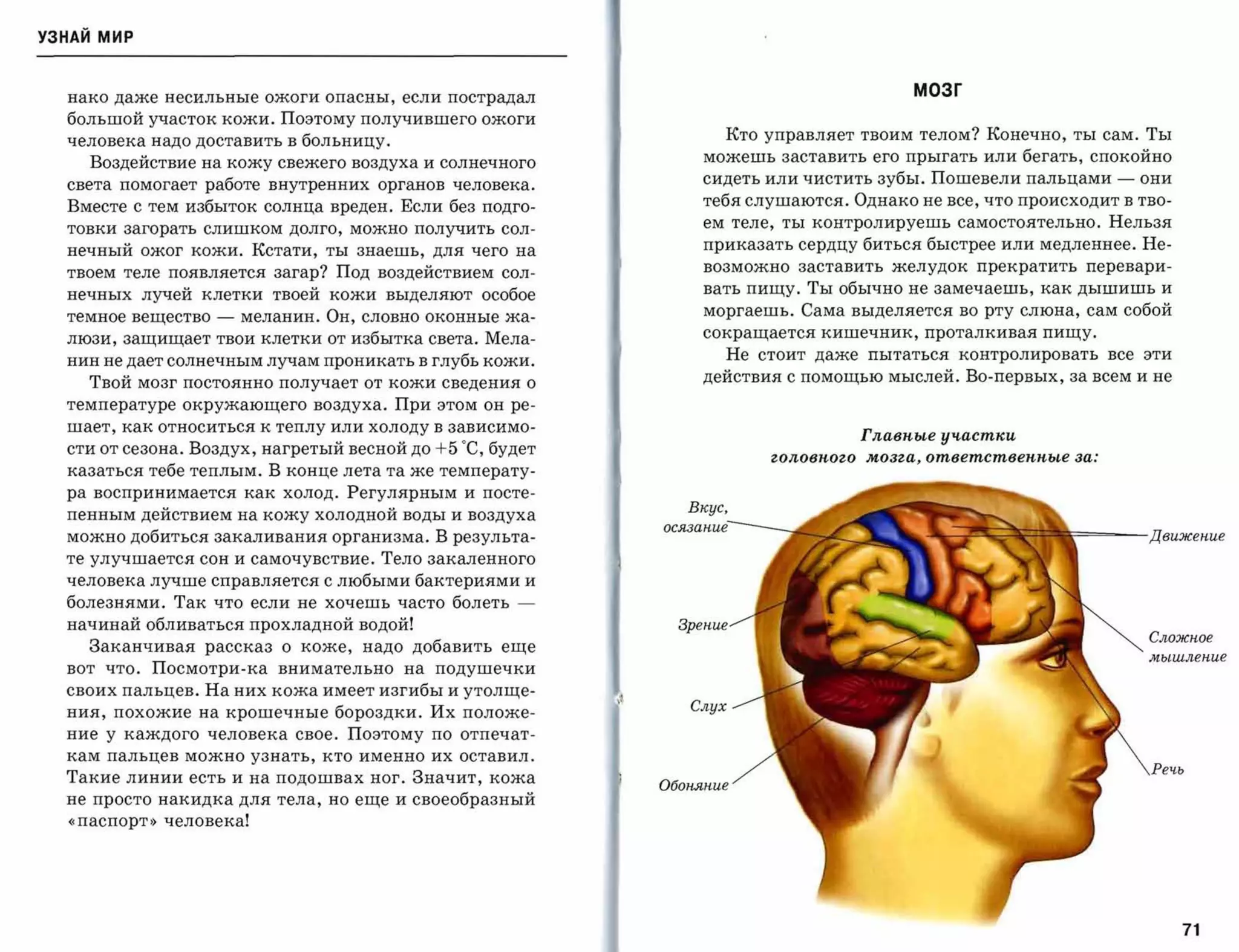 УЗНАЙ мир



  нако даже несильные ожоги опасны, если пострадал
                                                                                             мозг

  большой участок кожи. Поэтому получившего ожоги
  человека надо доставить в больницу.                                 Кто управляет твоим телом? Конечно, ты сам. Ты

    Воздействие на кожу свежего воздуха и солнечного                можешь заставить его прыгать или бегать, спокойно

  света помогает работе внутренних органов человека.                сидеть или чистить зубы. Пошевели пальцами       -   они

  Вместе с тем избыток солнца вреден. Если без подго­               тебя слушаются. Однако не все, что происходит в тво­

  товки загорать слишком долго, можно получить сол­
                                                                    ем теле, ты контролируешь самостоятельно. Нельзя

  нечный ожог кожи. Кстати, ты знаешь, для чего на                  приказать сердцу биться быстрее или медленнее. Не­
                                                                    возможно   заставить   желудок   прекратить   перевари­
  твоем теле появляется загар? Под воздействием сол­
                                                                    вать пищу. Ты обычно не замечаешь, как дышишь и
  нечных лучей клетки твоей кожи выделяют особое
  темное вещество   -   меланин. Он, словно оконные жа­             моргаешь. Сама выделяется во рту слюна, сам собой
                                                                    сокращается кишечник, проталкивая пищу.
  люзи, защищает твои клетки от избытка света. Мела­
                                                                      Не стоит даже пытаться контролировать все эти
  нин не дает солнечным лучам проникать в глубь кожи.
    Твой мозг постоянно получает от кожи сведения о                 действия с помощью мыслей. Во-первых, за всем и не

  температуре окружающего воздуха. При этом он ре­
  шает, как относиться к теплу или холоду в зависимо­
                                                                                       Главные участки
  сти от сезона. Воздух, нагретый весной до   +5 ОС,   будет
                                                                           головного   мозга, ответственные за:
  казаться тебе теплым. В конце лета та же температу­
  ра воспринимается как холод. Регулярным и посте­
                                                                  Вкус,
  пенным действием на кожу холодной воды и воздуха
                                                               осязание
  можно добиться закаливанияорганизма. В результа­                                                            i          Движение

  те улучшается сон и самочувствие. Тело закаленного
  человека лучше справляетсяс любыми бактериямии
  болезнями. Так что если не хочешь часто болеть         ­
  начинай обливаться прохладной водой!                           Зрение
                                                                                                                         Сложное
    Заканчивая рассказ о коже, надо добавить еще
                                                                                                                         мышление
  вот что. Посмотри-ка внимательно на подушечки
  своих пальцев. На них кожа имеет изгибы и утолще­
                                                                  Слух
  ния, похожие на крошечные бороздки. Их положе­
  ние у каждого человека свое. Поэтому по отпечат­
  кам пальцев можно узнать, кто именно их оставил.
                                                                                                                          Речь
  Такие линии есть и на подошвах ног. Значит, кожа
                                                               Обоняние
  не просто накидка для тела, но еще и своеобразный
  «паспорт» человека!




                                                                                                                               71
 