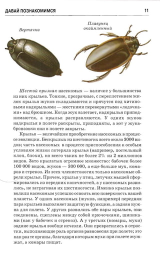 AABA~n03HAKOM~MC~                                                                                 11

                                                              Ilnaeuueu
                                                            OlCa[uvllleHHblU
                B epmsruca



       (. ~,.
            I
                "'
               illec m oii np U3fW IC aacexoxrsrx - HaJIHl.J:He y 60JIbIIIHHCTB a
         H3 HHX KpbIJIbeB . TOHKMe,        npoapa-msre, C nepen.nerenaesr mH­
         JIOK KPbIJIbR mYKOB CKJIa,n;bIBaIOTCR H n pa-ryrca nozt XHTMHO ­
         B b I M I1 Ha,n;Kp b IJIbRMI1 - meCTKHMM nepesepayrt-rraa «JIo,n;Ol.J:Ka­
         MH» aan 6pIOIIIKOM . Korna mYK B 3JIeTaeT, Ha.n;KpbIJIbR npnnon­
         HHMaIOTCR, a KPbIJIbR paCnpaBJIRIOTCR . Y O.n;HHX myKoB
         Ha,n;KpbIJIbR B nOJIeTe pacxpsrrsr, rrpanozraa-n,r, a BOT Y xcyxa­
          6pOH30BKM OHH B nOJIeTe              aaxpsn-sr.
                KPblJIbR -                              nacercorasrx B nponec­
                              BeJIHl.J:aHIlIee n p M0 6 p e T e H I1e
                                                        scero OKOJIO 3000 BM­
          ce 3BOJIIOIIHH . B e CK p b l JI b I X 113 IIIeCT11HorMX
          .n;OB; xac'rs nacexoxurx B n ponecce npncnocotineaaa K OC06bIM
          yCJIO BMRM mH3HH n OT e p R JI a KPbIJIbR (nanpareep, nOCTeJIbHbIH
          KJIO n, 6JIOXH), HO         scer-o   TaKMX He 60JIee          2%   M3   2   MHJIJIHOHOB
          BM.n;OB . 3aTo KpbIJIaTblX           or'powmoe    MHomeCTBO: 6a6ol.J:eK 60JIee
          100 000      B M.n;OB, myKoB -        300 000 ,     a e IIIe 60JIbIIIe MYX, KOMa­
          POB H CTpeK03 .      l'I3 scex   l.J:JIeHMCTOHor11X TOJIbKO           nacexorasre 06­
" - - - - peJIM KPbIJIbR . I1p l1 l.J: e M , KPbIJIbR y nTMII, JIeTyl.J:HX MblIlIeH          crpop­
        - M'H p OB a JI H Cb H3   nepezmnx KOHel.J:HOCTeH,          a y   uacexosrsrx pa3BI1­
          JIHCb, He    aa-rpar-a aas     11X IlIe CT M H o r OCT H. I1MeHHo KPbIJIbR n03 ­
                  aacexorasna ycneur no OCBOMTb BCIO nOBepXHOCT b HaIlIeH
          BOJI11JII1
          nJIaHeTbI. Y O.n;HHX nacexorasrx (mYKOB, nanpaxep ) n epezura s
          napa KpbIJIbeB BbIllOJIHReT 3aIIIHTHyIO qJyHKlJ,11IO, a 3a,D;HRR nyxc ­
          aa .n;JIR nOJIeTa .     Y   npyr-ax pa3B11JI11Cb 06e          napsr     KpbIJIbeB, OH11
          coenarrensr,       CIIenJIeHbl Mem.n;y C060H KpIOl.J:Ol.J:KaMH, IlIM n l1 K a ­
          Ml1 (KaK y 6a60l.J:CK 11 cT peK03).           A   y TpeTbHX        (rcoraap sr ,   MyXl1)
          aaznrae KPblJIbR Bo06IIIe l1Cl.J:e3JI l1. OHH npe n p a'r a n a c s B OTPOC­
          TKH, BbIllOJIHRIOIII11e POJIb opranoa paB HOBeCl1R n p n nOJIeTe; 3TO
          KaK pa3 Te    opram-r, fina rozrapa KOTOpbIM MyX11 npn nOJIeTe mym­
          xca'r, a KOMa pbI nHIIIaT .
 