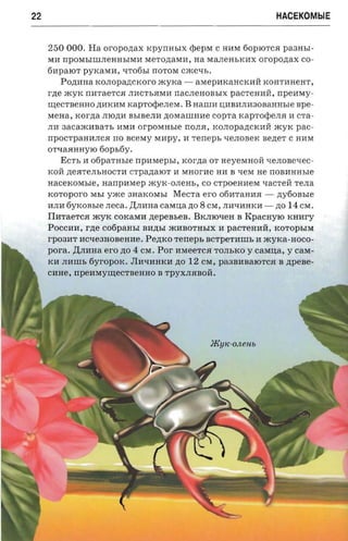 22                                                                  HACEKOMblE


     250 ODD. Ha oroponax tcpyrrasrx <pePM C HHM 60plOTCH paaasr­
     MH npOMbIIIlJIeHHbIMH MeTOAaMH, na MaJIeHbKHX oroponax co­
     6HpalOT pyxasra, qTo6bI nOTOM C:>Keqb.
        POAHHa KOJIOpaACKoro :>KyKa -        aMepHKaHcKHM KOHTHHeHT,
     rne :>KyK nHTaeTCH JIHCTbHMH naCJIeHOBbIX pacrennii, npenray­
     uiecrneuao AHKHM xaprorperresr. B HaIIlH UHBHJIH30BaHHble spe­
     MeHa, rcor'zra JIlOAH BbIBeJIH AOMaIIlHHe copra tcaprocpena H CTa­
     JIH 3aCa:>KHBaTb HMH orpowasre nOJIH, IWJIOpaACKHM :>KyK pac­
     npoCTpaHHJICH no scexry MHPy, H reneps qeJIOBeK BeAeT C HHM
     OTtIaHHHylO 60pb6y.
        ECTb H ooparnsre    rrpnraepsr,   rcorna OT HeyelVIHoH qeJIOBetIeC­
     KOM AeJITeJIbHOCTH cr p azta to r H MHorHe HH B qeM He nOBHHHble
     nacexovnae, nanpazsep :>KyK-OJIeHb, co CTpoeHHeM qaCTeH TeJIa
     rco-roporo MbI yxce 3HaKOMbI MeCTa ero o6HTaHHH -              nytionsre
     HJIH fiyrconsre .neca. p;JIHHa casrua no   8 CM, JIHtIHHKH -   AO 14 CM.
     IIHTaeTcH :>KyK COKaMH     ztepensea,   BKJIlOqeH B RpacHylO KHHry
     POCCHH, rne cofipausr BHAbI :>KHBOTHbIX H pacreuan, KOTOpbIM
     rpoan'r HCqe3HOBeHHe. PeAKO rerreps ncrperanrs H xcyxa-rroco­
     pora. p;JIHHa ero AO 4 CM. POI' HMeeTCH TOJIbKO y casma, y cast­
     KH JIHillb fiyr-oporc. JIHqHHKH AO    12   CM, pa3BHBalOTCH B zrpene­
     CHHe, nperoaymecrneano B TpyXJIJIBOM.




                                                  JKYIC-OJleHb
 