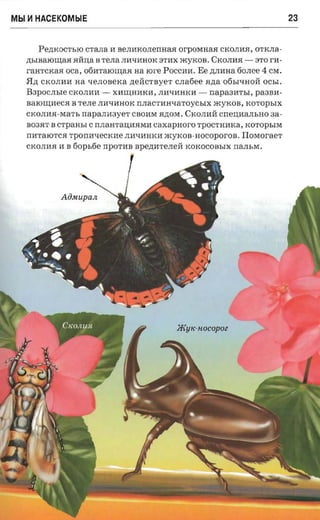 Mbl   ~   HACEKOMblE                                                                              23


             Pe,lKOCTbIO crana II BeJIIIKOJIeIIHaJI OrpOMHa$I CK OJIIIJI , OTKJIa­
      ,lbIBaIOI.IJ;a$I RHrra B TeJIa JIIIqIIHOK :3TIIX myKOB. CKOJIII$I -        :31'0 rII­
      raH TCKa$I oca, 06IITaIOI.IJ;a$I     aa tore   POCCIIII . Ee ,lJIIIHa 60JIe e   4   CM .
      H,l   CKOJIIIII   na   qeJIOBeKa ,leHcTByeT     c.nafiee azra   06blqHOH OCbI.
      B3pO CJIble CK OJI IIII -     XIII.IJ;HIIKl1, JIl1ql1HKl1 -   napa311TbI , pa3Bl1­
      B aIOI.IJ;l1eC$I B TeJIe JIl1QIIHOK nJIaCTl1HQaTOYCbIX         xcyxos, KOTOpbIX
      CKOJIII$I-MaTb      rrapamra yer CBOl1 M     $I,lOM . CKOJIl1H cnennan s no sa­
      B03$IT B CTpaHbI C nJIaHTarrl1$IMl1 cax a p n o r o TpOCTHIIKa, KOTOpbIM
      nl1TaIOTC$I TpOnl1QeCKIIe JIl1Ql1HKII »cyrcoa-nocoporoa.                Iloraoraer
      CK OJI l1 $I 11 B 60pb6e npoTIIB Bpe,lIITeJIeH KOKOCOBbIX IIaJIbM.




                                                         JRyK-HOCOpOZ
 