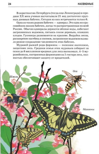 24                                                               HACEKOMblE


        B OKpeCTHOCTHX    Flerepfiypra (rorna erne Jlenanr-pana) B cepe­
     zrane XX sexa yseasre    HaCqHTbIBaJIH 21 BH.n; .n;OCTaTOqHO rcpyrr­
     HbIX .n;HeBHhIX 6a60qeK. Ceronna H3 HHX BCTpeqaIOTCH TOJIhKO 6.
        Ozma H3 TaKHX peztxax 6a60qeK - a.n;MHpaJI. 8TO ozma H3 xpa­
     cHBeHIIIHx HaIIIHX 6a60qeK, xorna-ro pacnpocrpanenaaa rro sceii
     POCC:HI1. 06hIQHO a.n;MHPaJIhI .n;epJRaTCH B6JIH3H BO.n;hI, H36eraIOT
     3arpH3HeHHhIX  nonoesron, mrraacr, COKOM nepensen, orraBIIIHX
     nnonon. I'yceaausr pa3BHBaIOTCH aa xpannae . Bsrpyfirca JIeCOB,
     pacnrapeune nacrfimu H nocesoa, 3arpH3HeHHe aonoerson BbI3Ba­
     JIO peaxoe coxpaurenae QHCJIeHHOCTH 3THX 6a60QeK.
         Mypaaeji PhIJRHH pozta epopMHKa - rrOJIe3HOe nacexoraoe,
     3aru;HTHHK neca. Cpe.n;HHH ceMhH 3THX MypaBheB cofinpaer aa
     ce30H.n;0   8 MHJIJIHOHOB spezrasrx .n;JIH .neca nacexorasrx. 4-5 MY­
     paBeHHHKoB, rrOCTpoeHHbIX epopMMKaMM         na 1 rercrape rreca,   rrOJI­
     HOCThIO o6eCrreQHBaIOT 3aru;MTY OT Bpe.n;HTeJIeH .
 