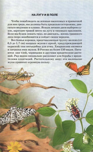 HA nvrv ~ B nons

     QTo6bI nonafirnozrarr, aa jI013HblO HaceKOMbIX B rrpl1BbI'IHOH
,n;JlH Hl1X cpene, MbI ,n;OJlmHbI 6bITb npenensno ocropoxcnsr, ,n;Bl1­
ra'rsca Me,n;JleHHO l1 nnaaao, HCHbIM JleTHl1M ,n;HeM BbI6epeM cy­
xoe, aapocmee TpaBOH MeCTO aa rryr'y l1 Tl1XOHbKO npunaacex.
ECJll1 MbI 6y,n;eM JlemaTb Tl1XO, He zmnr-aacs, ml13Hb rpasaaoro
neca CKOpO B0306HOBl1TCH l1 noazrer CBOl1M 'Iepe,n;oM.
     BOT 60mbH xoposxa, rrpezrcraanatorrraa rpyrrrry MeJlKl1X (OT
0,5 zto 1,7 CM) Xl1II.:HbIX myKoB C HpKOH, npezrynpeaenaiomea
OKpaCKOH: OHl1 aec-senotiasr ,n;JlH rrrnn. Xl1II.:Hl1KaMl1 HBJlHIOCH
l1 Jll1'Il1HKl1 3Tl1X myKOB. B POCCl1l1l1X 60Jlee 150 Bl1,n;OB. IIHTa­
IOTCH OHl1 TJleH, xepneuaraa H ,n;pyrHMl1 Bpe,n;HTeJlHMH pacre­
Hl1H. PH,n; Bl1,n;OB cnenaansno paCCeJlHIOT ,n;JlH 60Pb6bI C npezm­
TeJlHMl1 rrJlaHTan;l1H. PaCTl1TeJlbHoMY Ml1Py 3Tl1 MaJleHbKl1e
myKl1 rrpl1HOCHTorposmyro rro.m.ay.
 