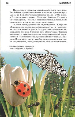 28                                                                     HACEKOMblE


            Ha COCe,D;HIOIO TpaBlIHKy orryc'ranacs 6a6o tIKa-IIR,D;eHHIJ;a.
      8TO 6a6otIKH Cpe,D;HeH BeJIHtIHHhI C umpOKHMH KPhIJIhRMH              paa­
      MaXOM ,D;O    4    CM. Bcero HaCtIHThIBaeTCR OKOJIO        15 000 BH,D;OB,
      B POCCHH OHH COCTaBJIRIOT          12%    OT   scex fiafioxer«. I'ycennnsr
      MHorHX nR,D;eHHIJ; -      onacrrsre Bpe,D;HTeJIH   XBOHHhIX JIeCOB. CaMH
      IIR,D;eHHIJ;hI -    Bpe,D;HTeJIH H Ca)J;OB, H RrO,D;HHKOB.
            ITo 3eMJIe MeJIC,D;y TpaBHHKaMH CHyIOT MypaBhH. JRHByT OHH
      o6~HHaMH: caMKH, CaMIJ;hI, pa60tIHC, COJI,D;aThI. Ha rOJIOBe          r-na­
      aa,   CHJIhHhle tIeJIIOCTH, yCHKH. OT rpY,D;H OTXO,D;HT cTe6eJIeK RH­
      IJ;eBH,D;HOrO 6pIOuIKa. CHJIhHhle        nor-a   06eCiletIHBaIOT 6hlcTpoe
      ,D;BHJlCeHHe IIO JII060H IIOBCpXHOCTH -          ropH30HTaJIhHOH, BepTH­
      KaJIhHOH. ITOJIOB03peJIhIC CaMIJ;hI H caMKH HMeIOT ,D;Be rrapsr      rcpsr­
      JIheB. ITOCJIC BhIJIeTa H3 MypaBeHHHKa MOJIO,D;hle CaMIJ;hI H        casr­
      KH cnapHBaIOTCR, OIIJIO,D;OTBOpeHHaR              casnca   IIpH3eMJIReTCR,


     Batiouica -nsuieuuua (eeepx y).
      60:JfCb.H ICOPOBIW U JltypaBbu
 