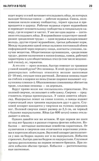 HA nyry ~ B nons                                                                              29


   l1I..IJ;eT H OpKy 11B HeM Ha'II1HaeT OTKJIa,ll;bIB aTb HMII;a, 11 KOTOpbIX
                                                                    3
   BbIXO,n;HT 6 eCrrOJIble CaMKI1 -              pa60'II1e MypaBbl1. CaMKa, rrOJIO ­
   ml1BIIIaH Ha'IaJIO HOBO My C006U.l,eCTBY,                  repaer xpsnn.a       11 npe­
   BpaI..IJ;aeTCH B    nap 11II;y •    Pa60 t.II1e MypaBbl1 CTpOHT MypaBeMHI1K
   11 nepeaonar OCHOBaTeJIbHI1II;y c006I..IJ;eCTBa B crreII;l1aJIbHY.EO                xa­
   Mepy ,   rne e e   KOpMHT 11'IItCTRT .         Y Hee me oznra aanaxa -          rrOCTO­
   HHHO OTKJIa,n;bIBaTb HMII;a .B MypaBeMHI1Ke CYI..IJ;eCTByeT csoeoo­
   paaaoe «paane.nenae rpvna : - O,n;HI1 MypaBbl1 BbIKapMJII1Ba.EOT
   MOJIO,n;b, ztpyr-ae CTpOHT MypaBeMHI1K, rpersn ,n;06bIBa.EOT KOpM .
   Mexczty MypaBbHMI1 O,n;HOM CeMbIt aanaxcea nocroaaasm 06MeH
   I1HcpopMaII;l1eM       -repea rrepezra-ry rrl1I..IJ;l1,   KOHTaKTbI yCI1KaMI1, rra­
   xy'Il1e BeI..IJ;eC1                                       «pa sne.neuae
                      'Ba. 06I..IJ;eCTBeHHaH OpraHI1 3aII;I1H,
   rpyna» , paanoe Ha3Ha'IeHI1e B ml13HI1 ( caMII;bI, CaMKI1, patioxae)
   xaparcrepasr It ,n:JIH 06I..IJ;eCTBeHHblx nxen (B TOM 'Il1CJIe Me,n;oHoc­
   HOM rrsensi), OC, 1'epMI1TOB.
       A    8'1'0 KTO -      HpKO-3eJIeHaH, 6bICTpO CeMeHI1T rro TpaBI1HKe
   ycaMoMHaIIIeMpYKI1?3TorreHHI1II;a.K8ToMrpyrrrreI130TpH,n;a
   paBHOKpbIJIbIX            X060THbIX OTHOCHT CH                MeJIKl1e   aacexorasre
   (5-10 MM),       cocymne COKI1 paCTeHI1M. JII1'II1HKI1 rreHHI1II; CIt,n;H T
   aa c Te6JIHX B IIIapl1Ke 113           neasr (raxae       IIIapl1KI1 Ha3bIBa.EOT «KY­
   KYIIIKI1HbI CJI.EOHKI1» ) . 06bIKHOBeHHaH CJI.EOHHBHI1II;a 0611TaeT na
   rpane , OJIbXOBaH             rreHHI1II;a -   aa zrepeasax .
      Bztpyr     nparao B03JIe Hac rrOCJIbIUlaJIOCh CTpeKOTaHl1e . 3'1'0
   rrOJIeBOM CB e p 'IOK , OH 3a3bIBaeT K ce6e caraxy . CBep'IOK -                  rrpezt­
   CTaBI1TeJIb orpazra rrpHMOKpbIJIbIX .                Y c a M OK     I1MeeTCH HMII;eK­
   rran . Ha,n;KpbIJIhH nexca'r aa CIII1He rrJIOCKO, a caMII;bI 113,n;a.EOT
   CTpeKO'IaI..IJ;I1M 3ByK TpeHl1eM aazncpsun.en zrpyr 0 npyra . CJIY­
   XOBOM annapar Haxo,n;I1TCH y CBep'IKOB aa rOJIeHHX nepeziaax
   nor'. IIoJIeBoM CBep'IOK I1MeeT                 paaxep no 2,5 CM, OH 'IepHbIM
   C 6YPbIMI1 Ha,n;KpbIJIbHMI1.              5IMII;a (no 600 IIITyK) caxxa OTI<JIa­
   zrsraaer   B 3 e M JI .EO .
      Ozraaxo nasatire              see me BCTaHeM.          H   npn   rrepaox   xce mare
   a a-nozr nor 6pbI3HYJI B            paaasre    CTOpOHbI epoHTaH K06bIJIOK .        Ko­
   6bIJIKI1 -     necrazmsre aacexoxsre               ceMeMCTBa CapaH'IOBbIX . 0'1'
   Ky3He'II1KOB 11 CBep'IKOB OHI1 OTJIl1'Ia.EOTCH KOPOTKI1MI1 YCI1Ka­
   MIl 11KOPOTKI1M HMII;eKJIa,n;OM . 3ByKOBOM annapar pacno.aaraer­
   CH y HI1X aa 6e,n;pax 3a,n;HI1X nor 11 na Ha,n;KpbIJIbHX . K06bIJIKa
   CTpeKO'IeT, 6bICTpO ,n;Bl1raH 6e,n;pOM rro Ha,ll;KPbIJIbHM. CJIYXOBble
   opransr pacrrorroacern-r na              nepsora cerMeHTe 6p.EOIIIKa. IIpl1 BO­
   JIeTe K06bIJIKI1 06bI'IHO Tp eI..IJ; aT. K06bIJIKI1 -               paCTI1TeJIbHOH,n;­
   asre aacexorasie.
 